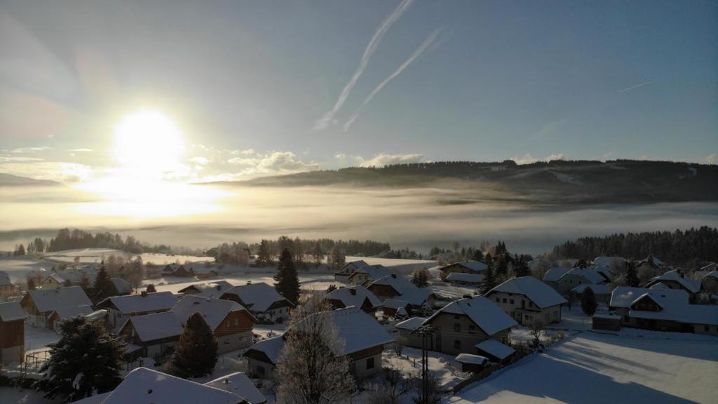 Panoramahaus Steiner
