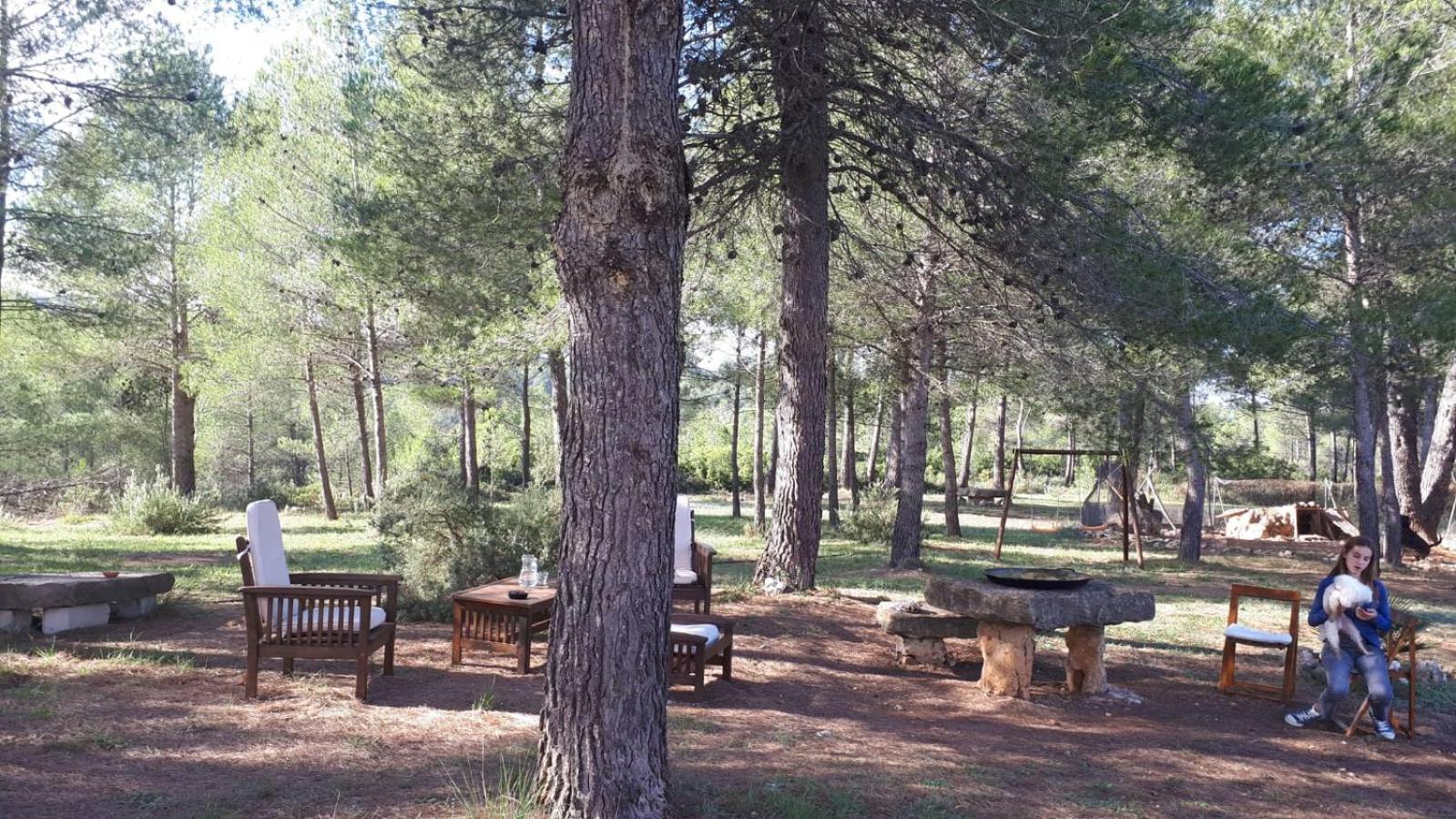 Alojamiento entero Casa de Campo en un Paraje Natural "El Caroche" view 5
