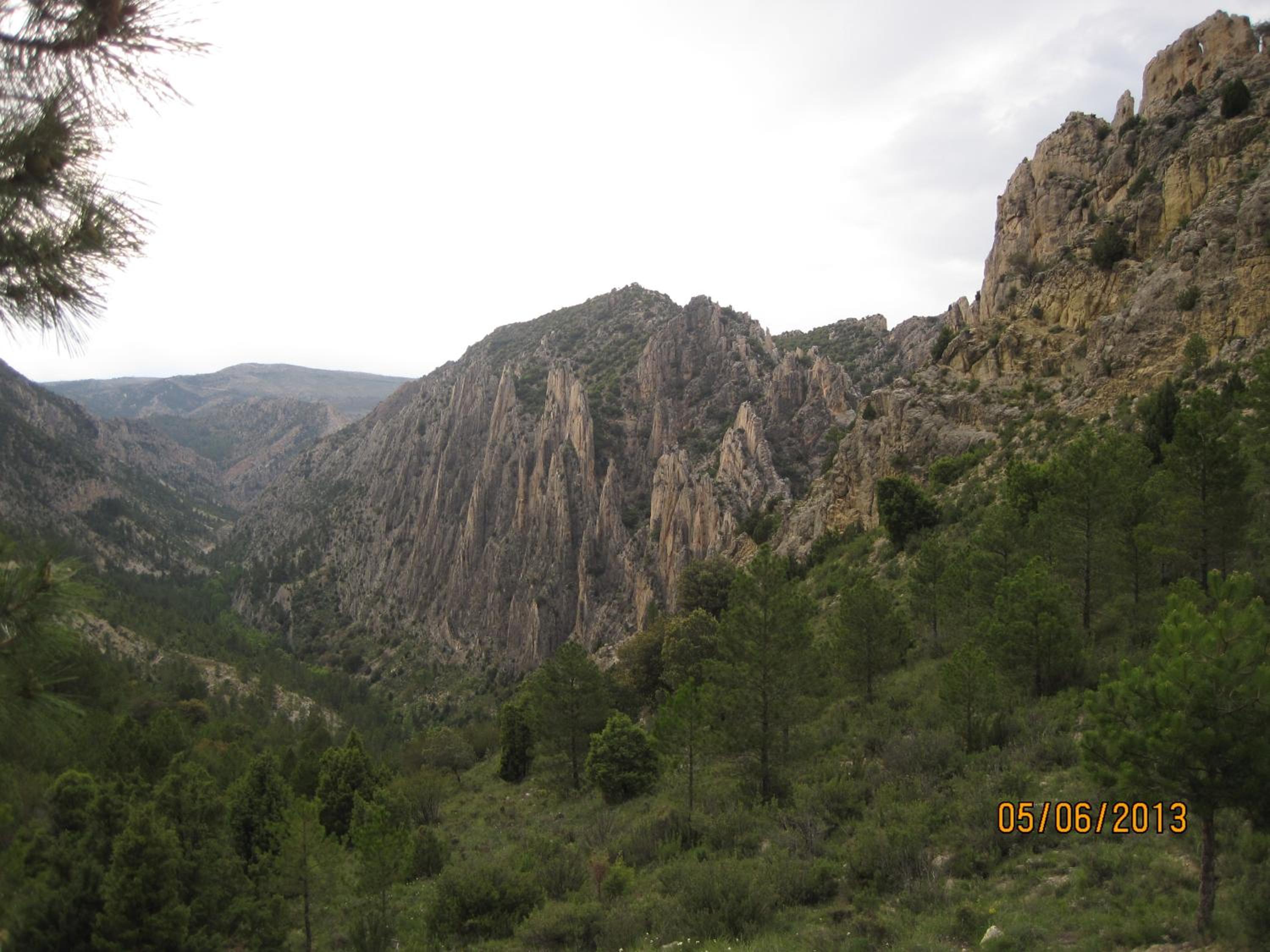 Photo 35