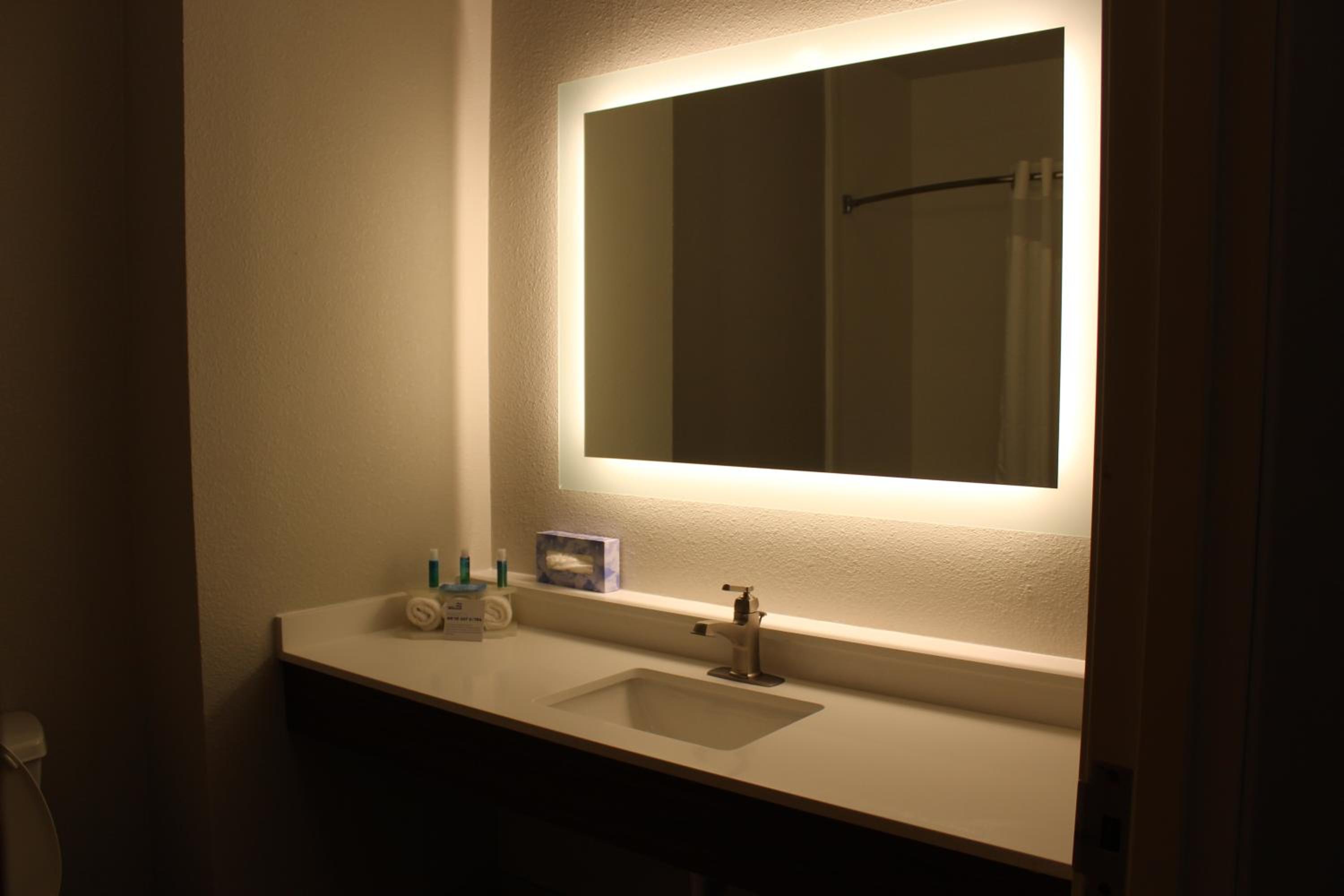 Dallas / Fort Worth Vacations - Holiday Inn Express Hotel  Suites Mansfield, an IHG Hotel - Property Image 2
