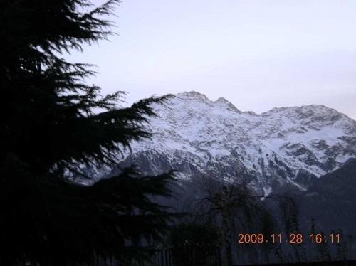 Photo 43