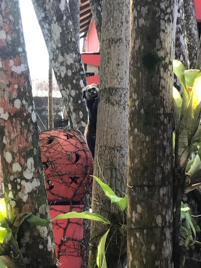 Pousada Estrela Itacaré