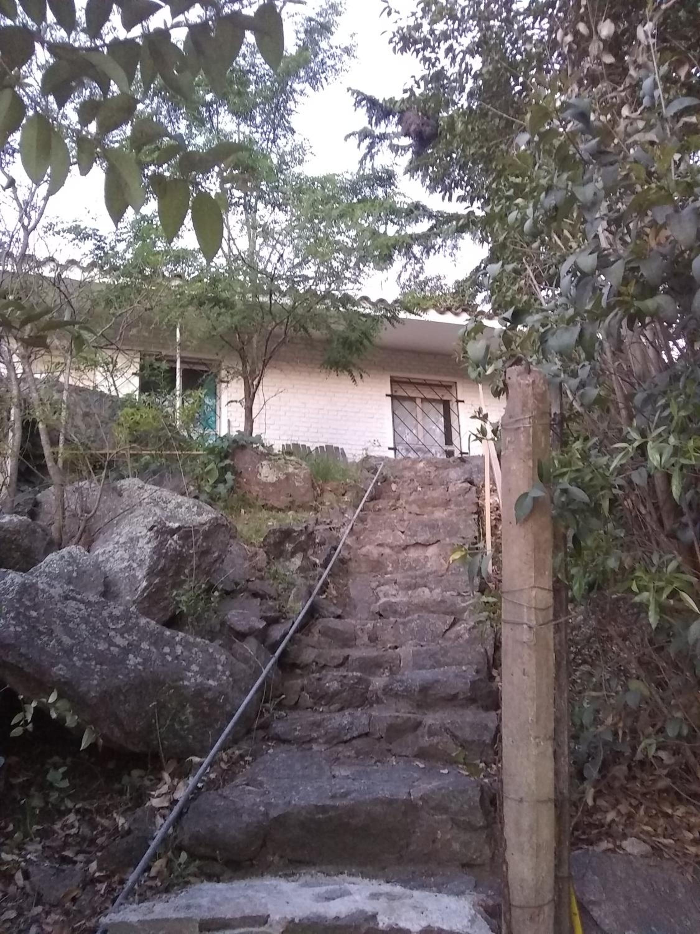 Bosquecito Del Rio