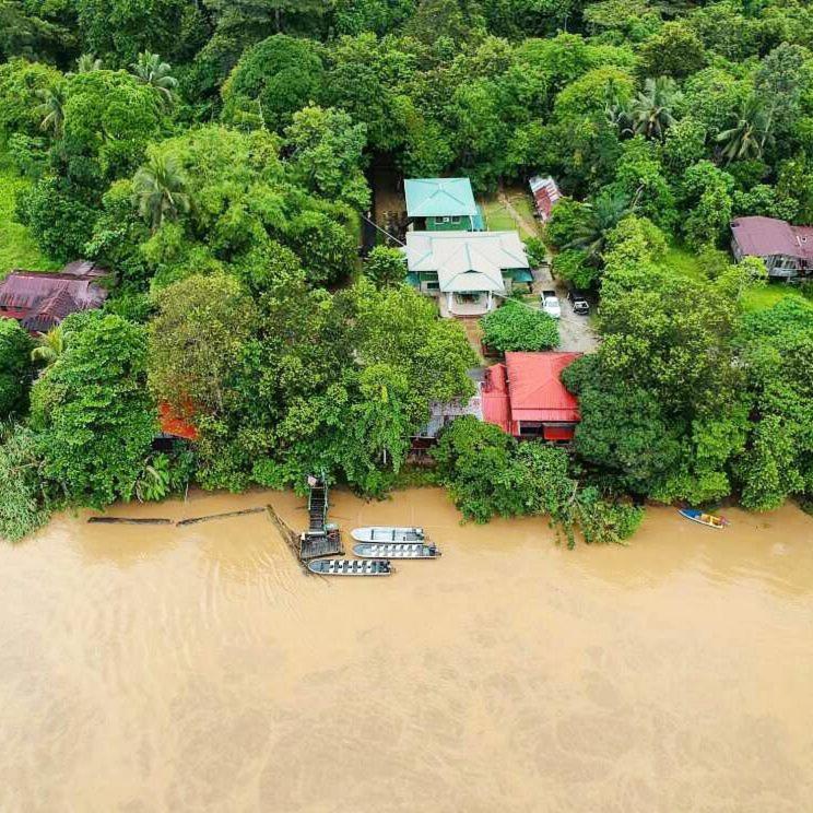 Sukau Greenview Lodge