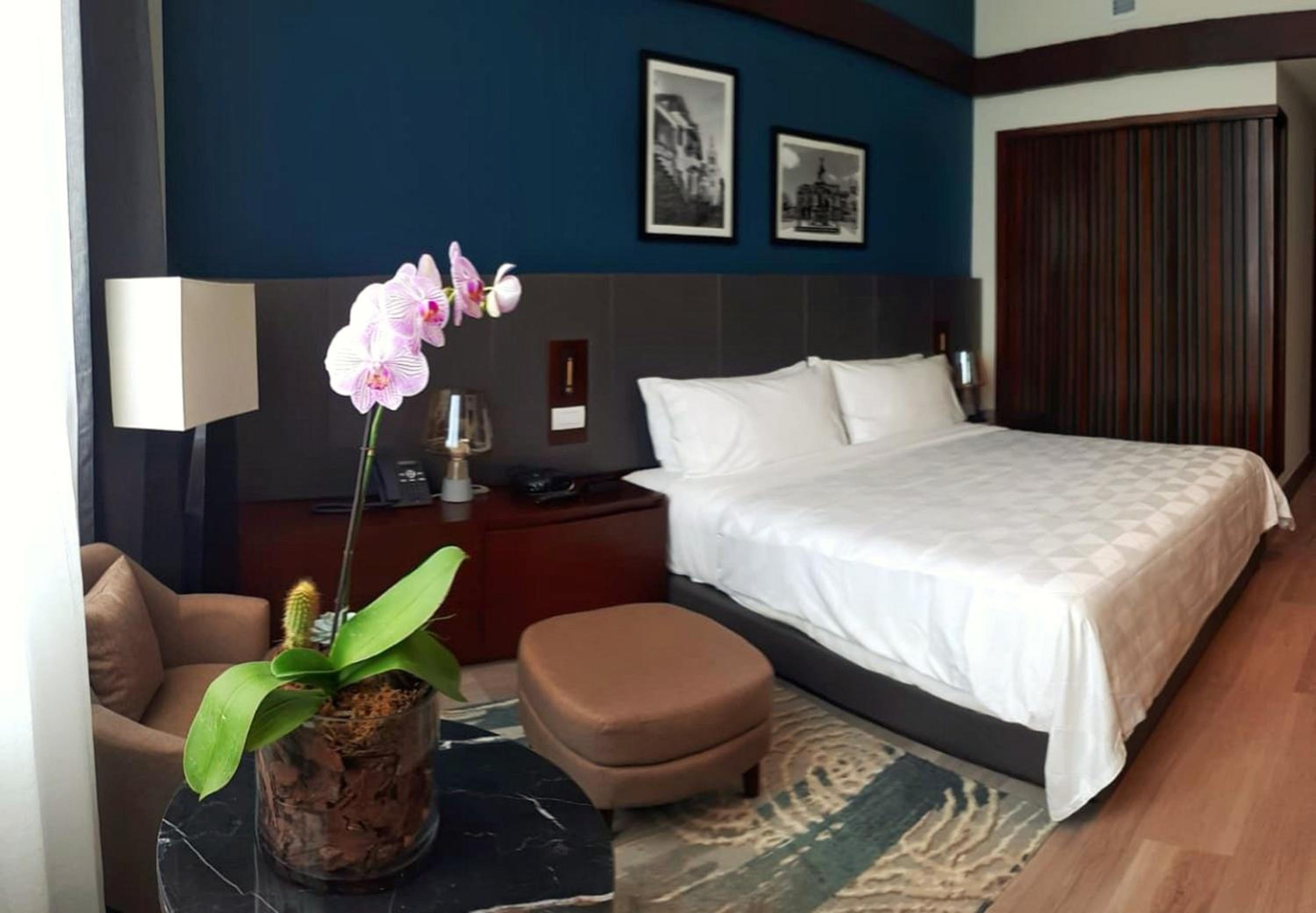 Holiday Inn Santo Domingo, an IHG Hotel - Property Image 6