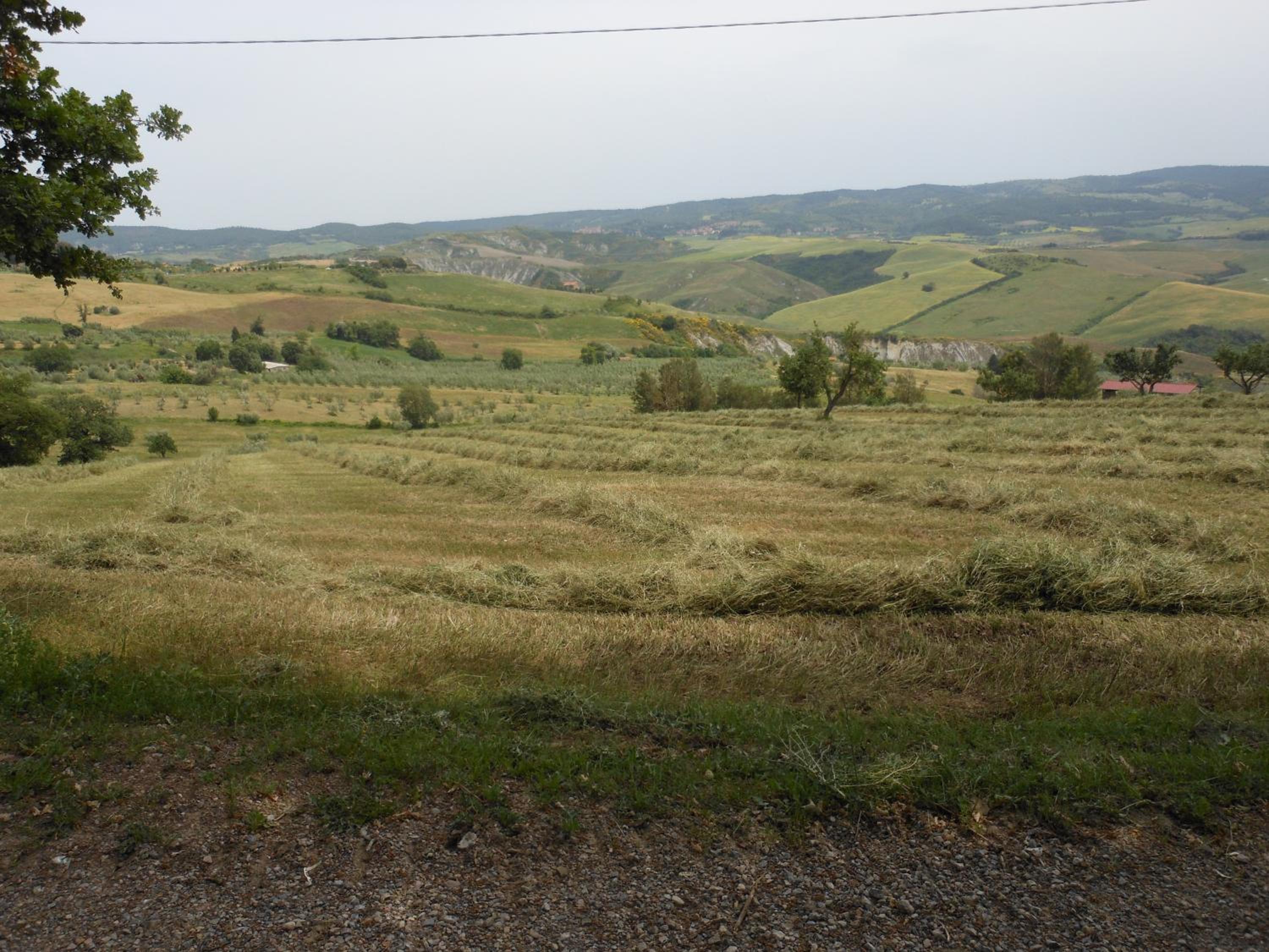Agriturismo Collomici