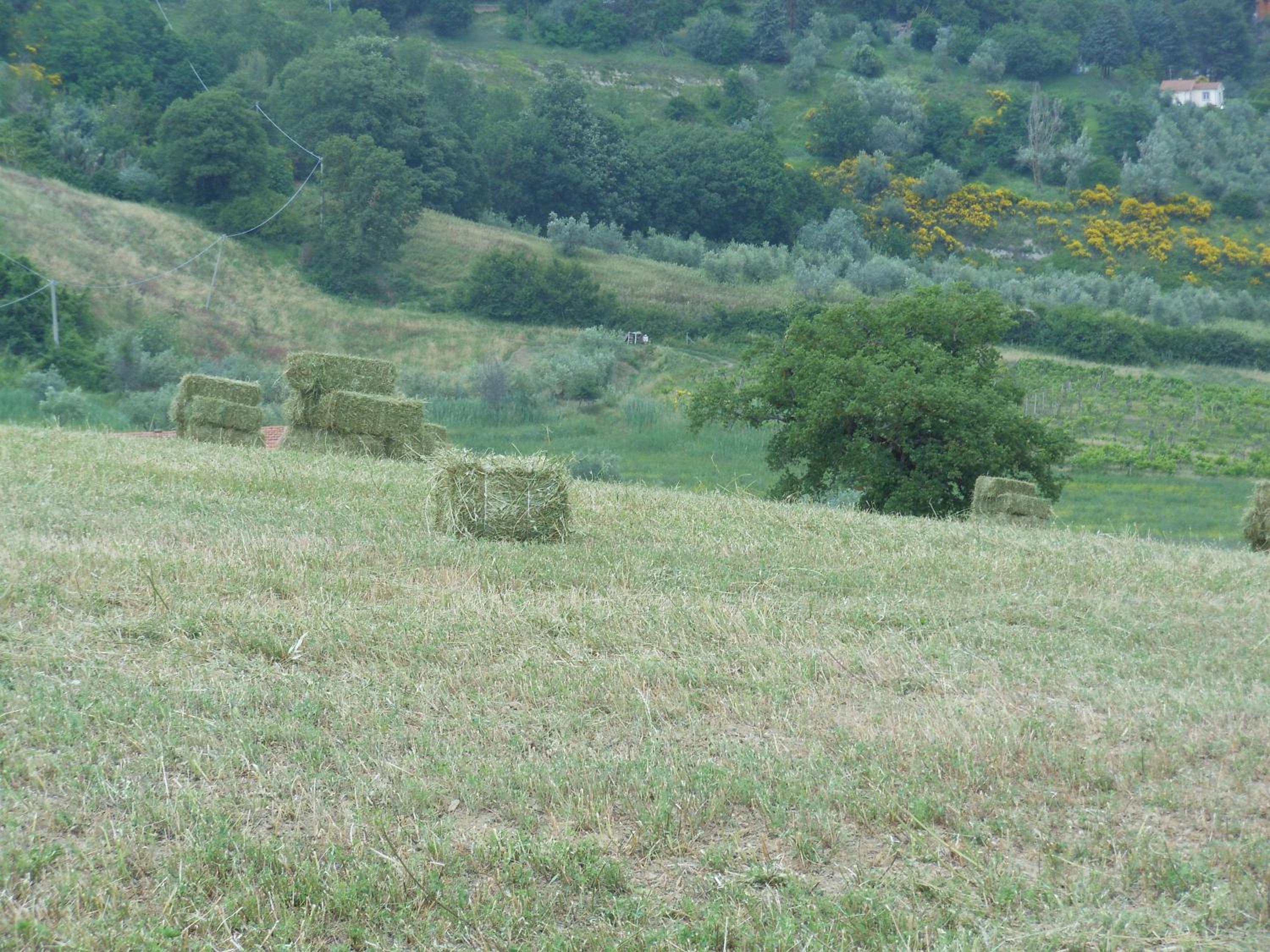 Agriturismo Collomici