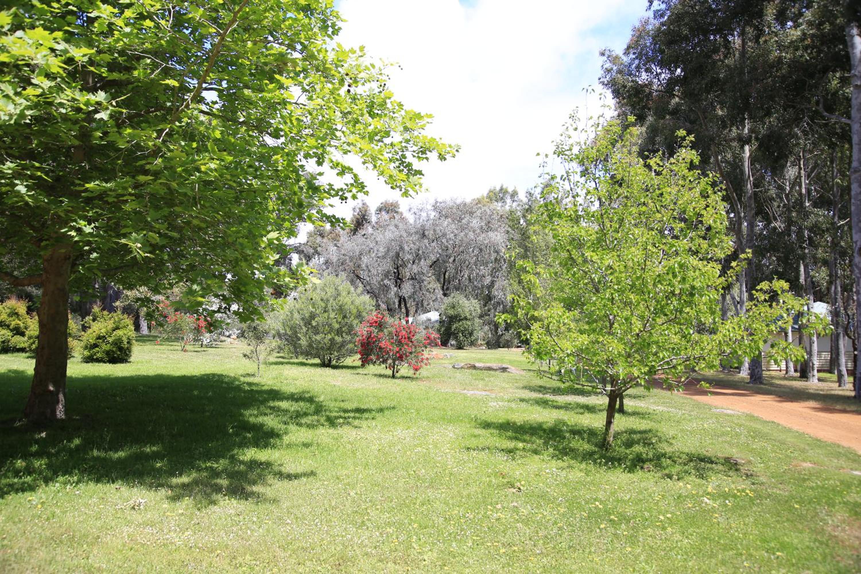 Bushy Lake Chalets