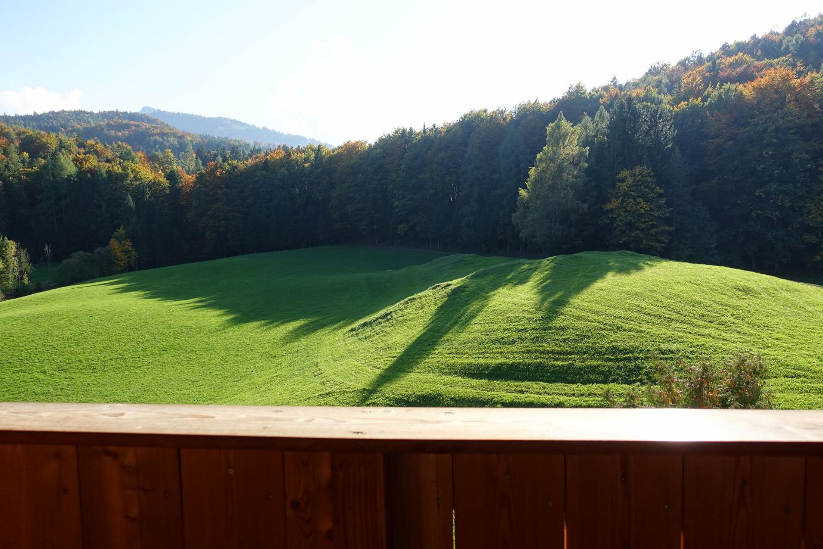 Urlauben im Grünen
