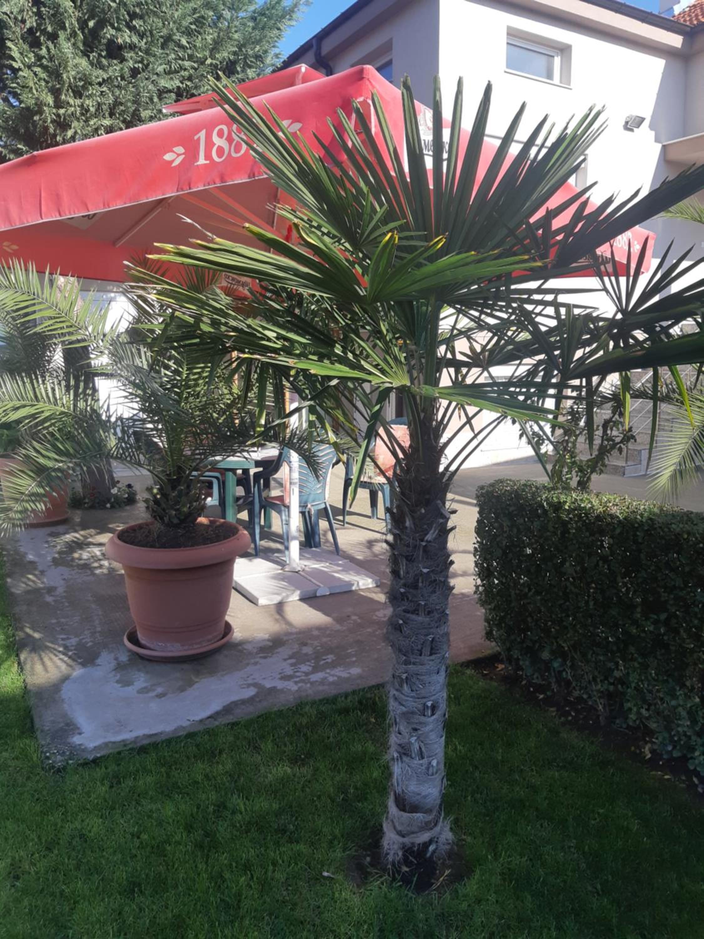 Villa Ros Guest House