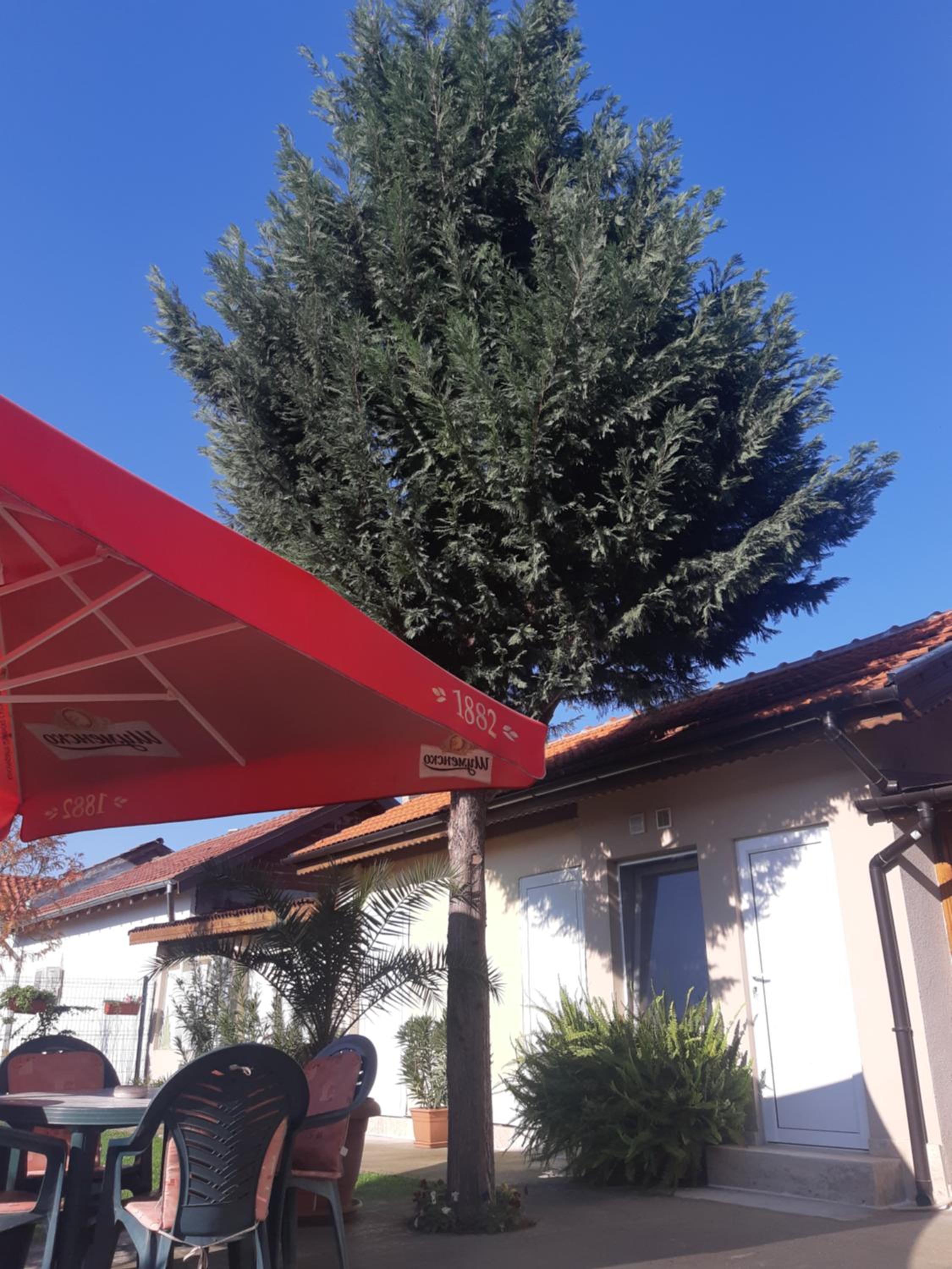 Villa Ros Guest House