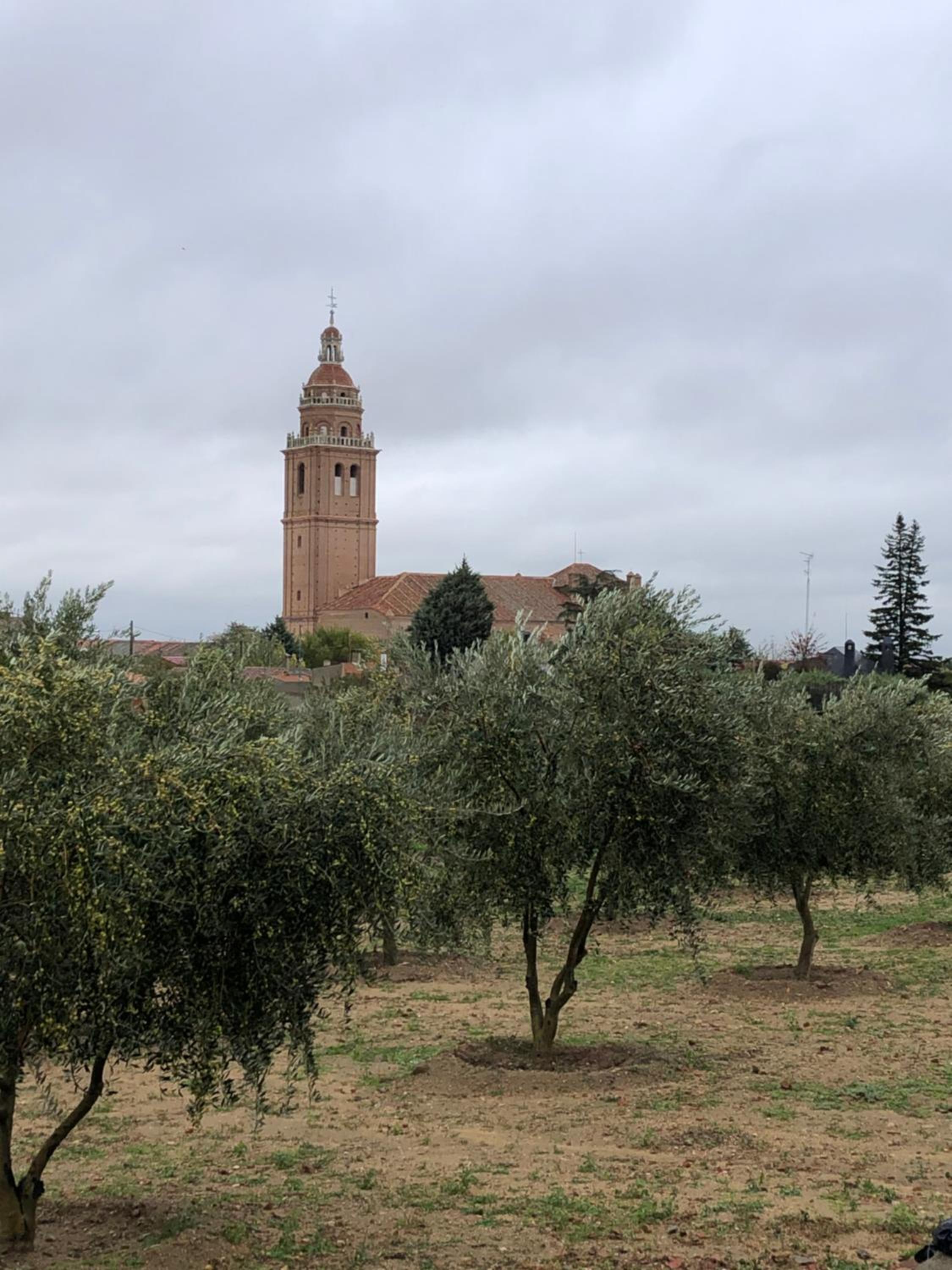 Photo 43