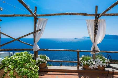 Calante Luna photo 3