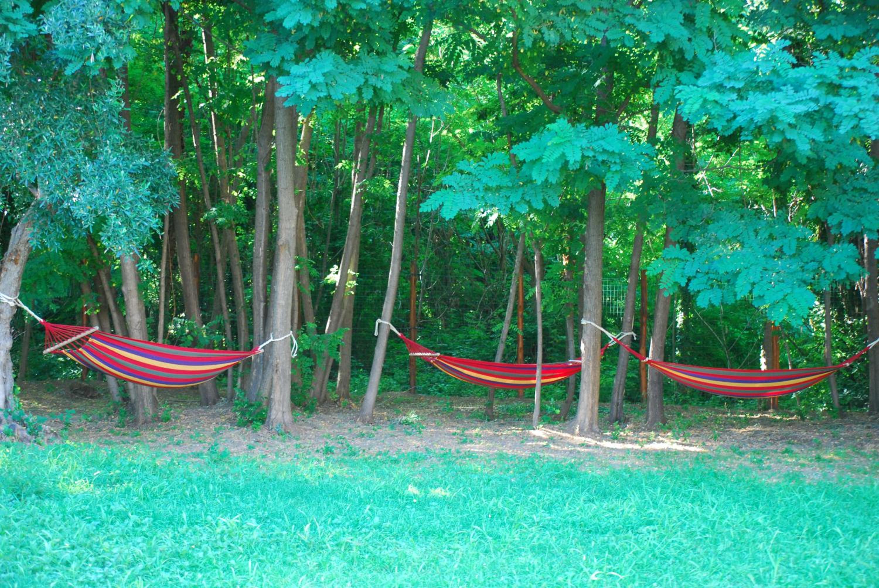 Palazzo Conforti Tree House Resort