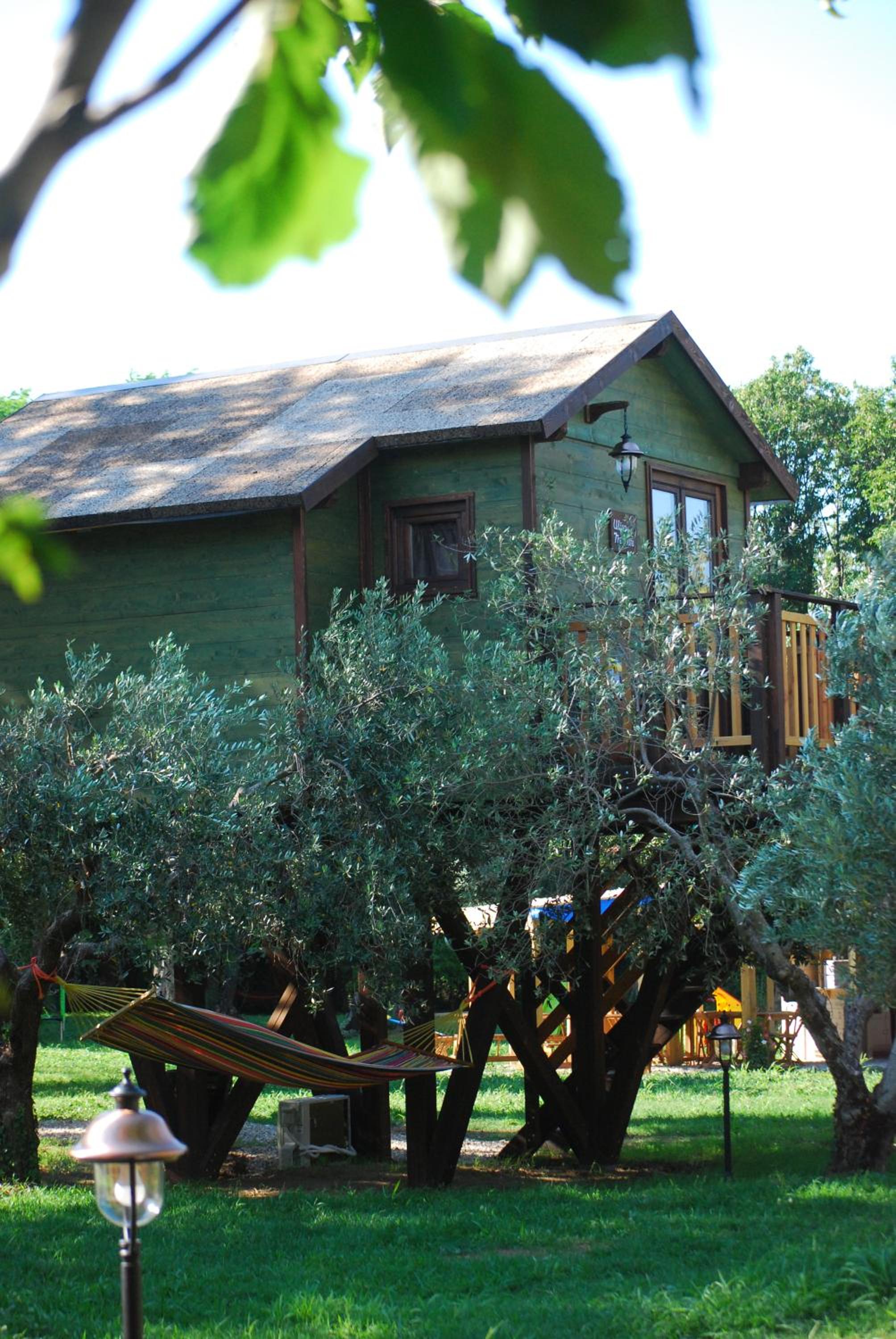Palazzo Conforti Tree House Resort