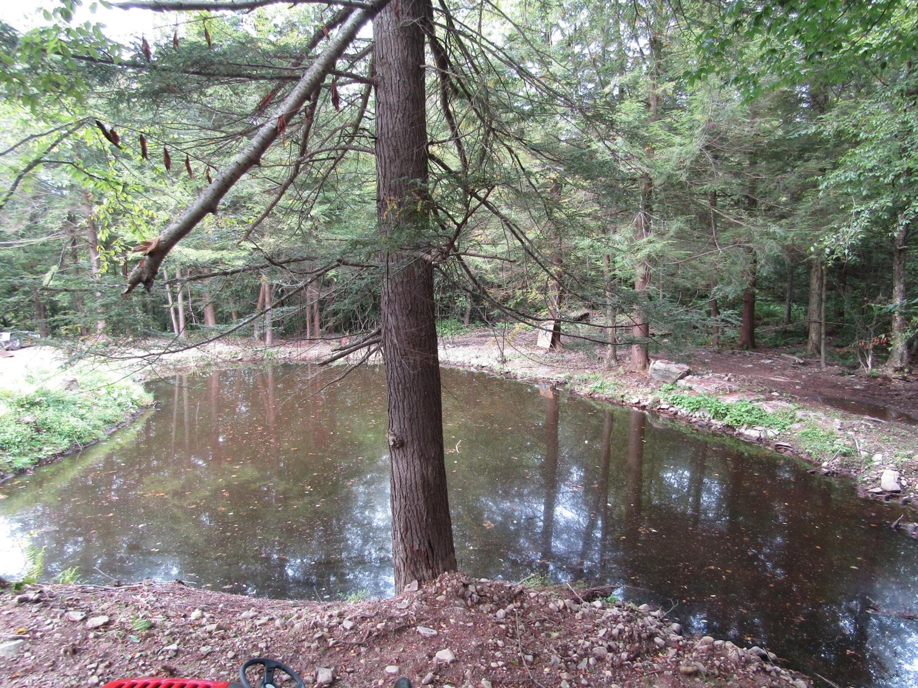 Photo 9