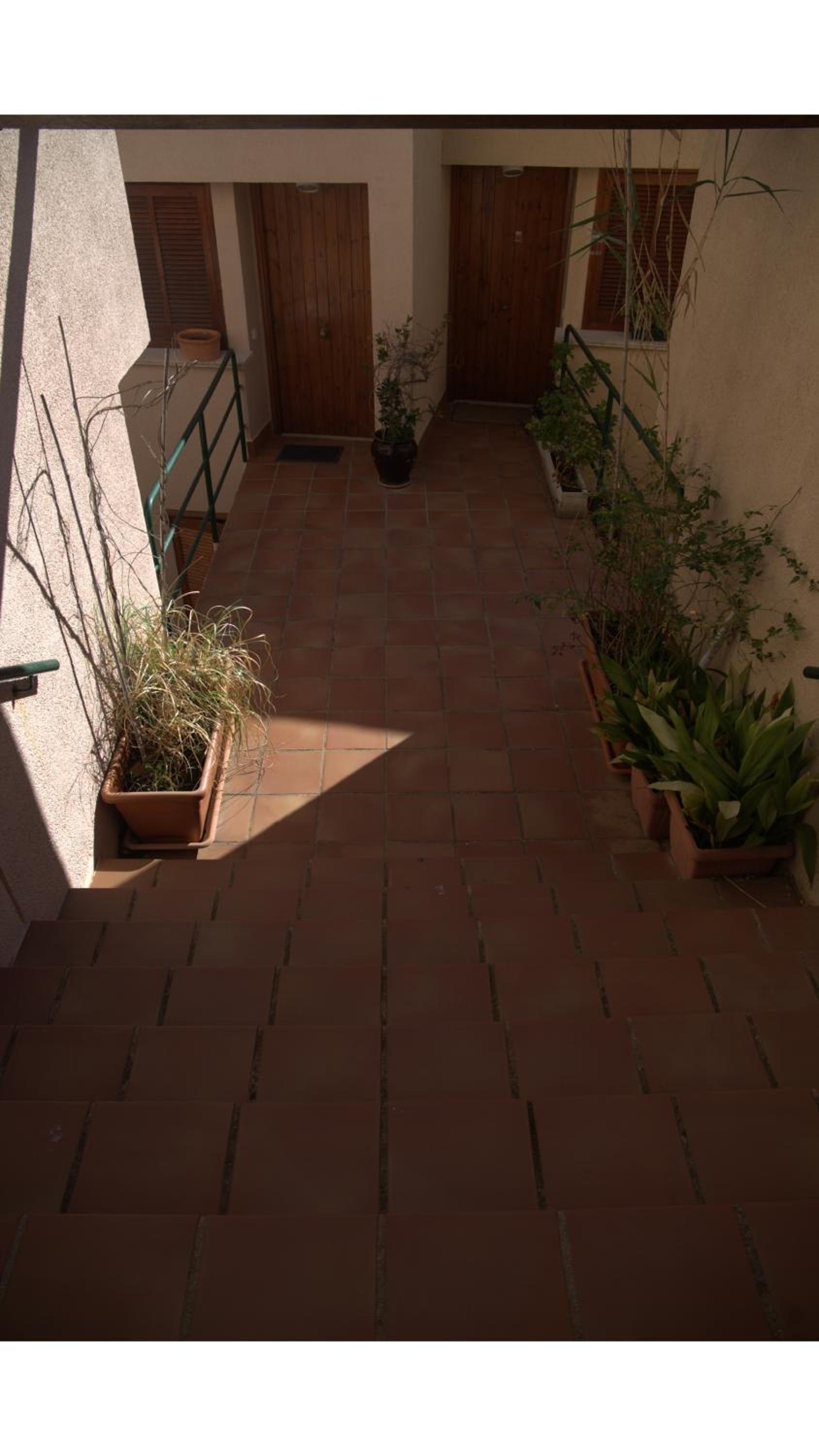 Photo 59