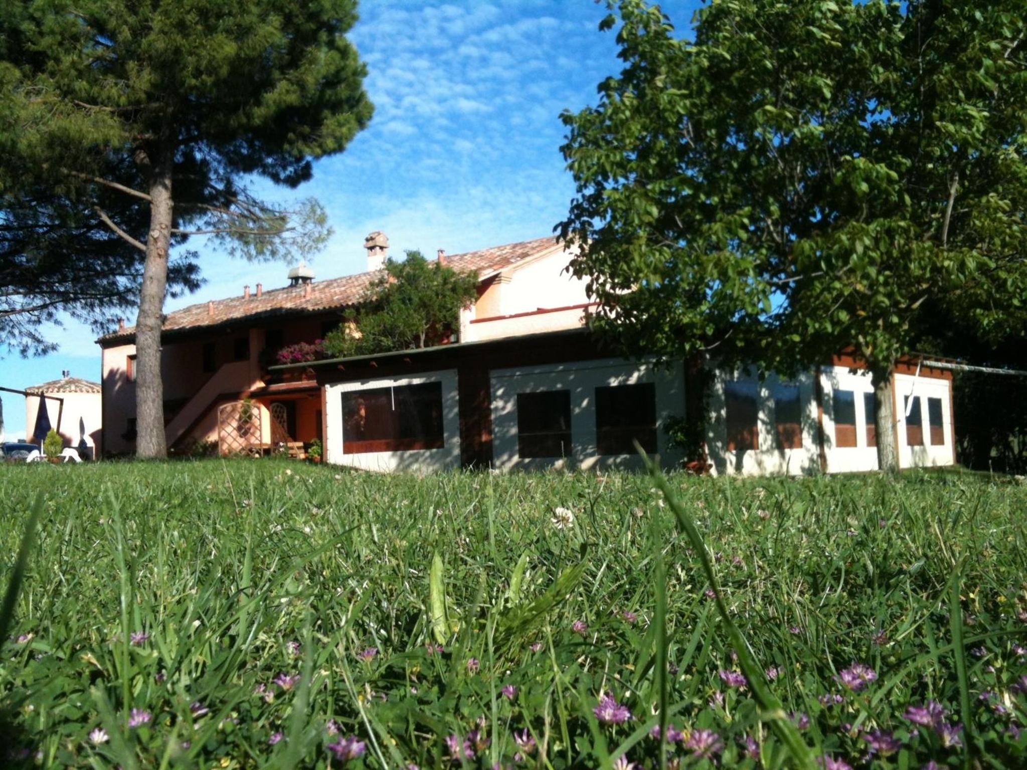 Photo 9