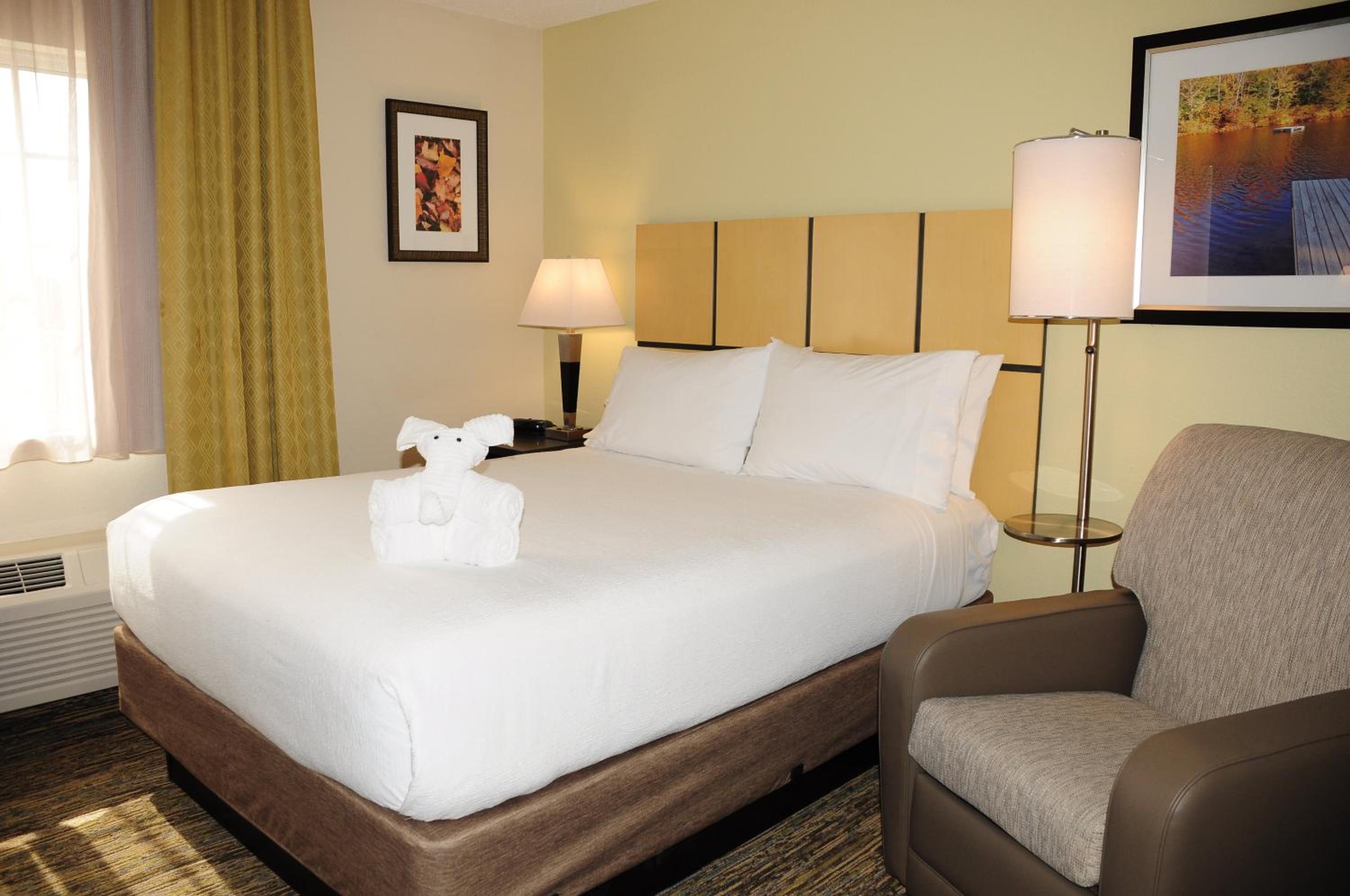 Candlewood Suites Washington-Dulles Herndon, an IHG Hotel - Property Image 3