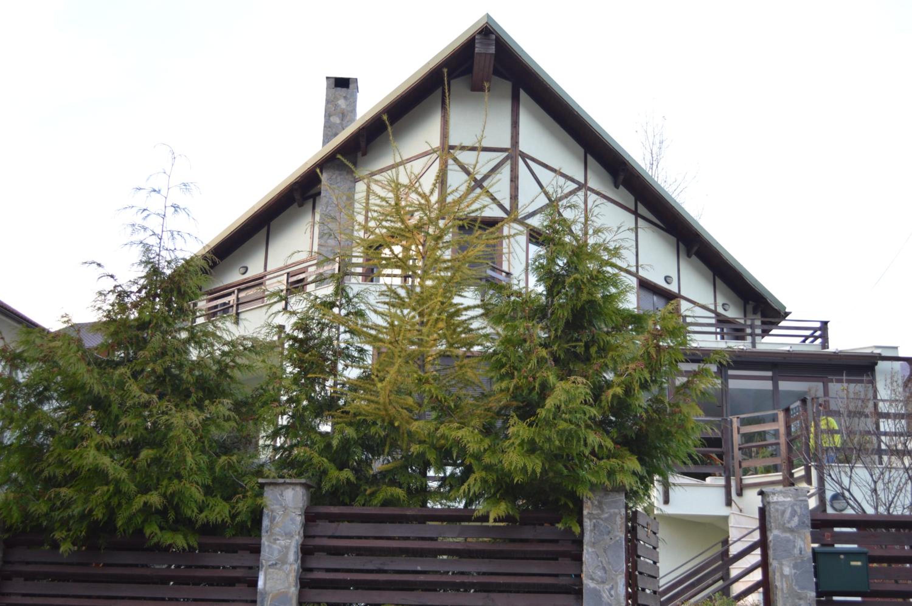 Ski & Adventure Vila view 4