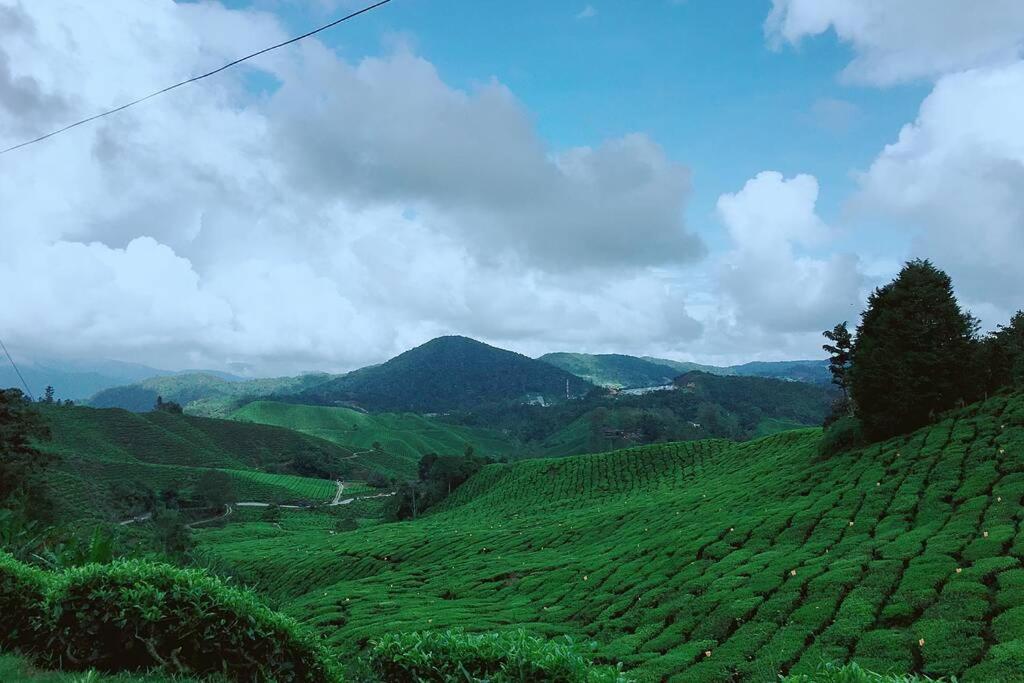 9Pax BintangCottage CameronHighlands *星之高原屋* photo 4