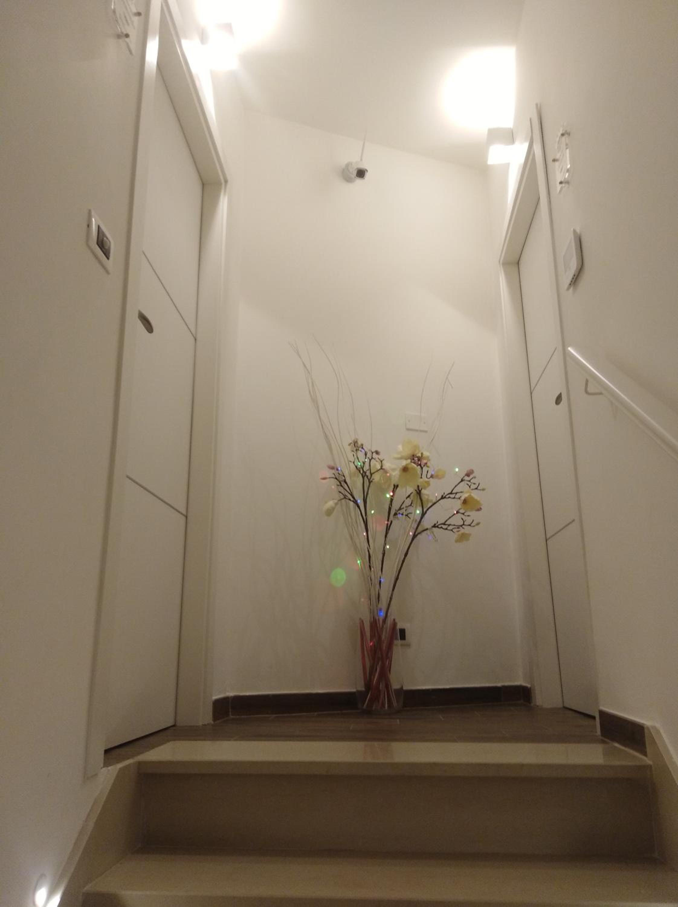 DomuS al Corso B&B