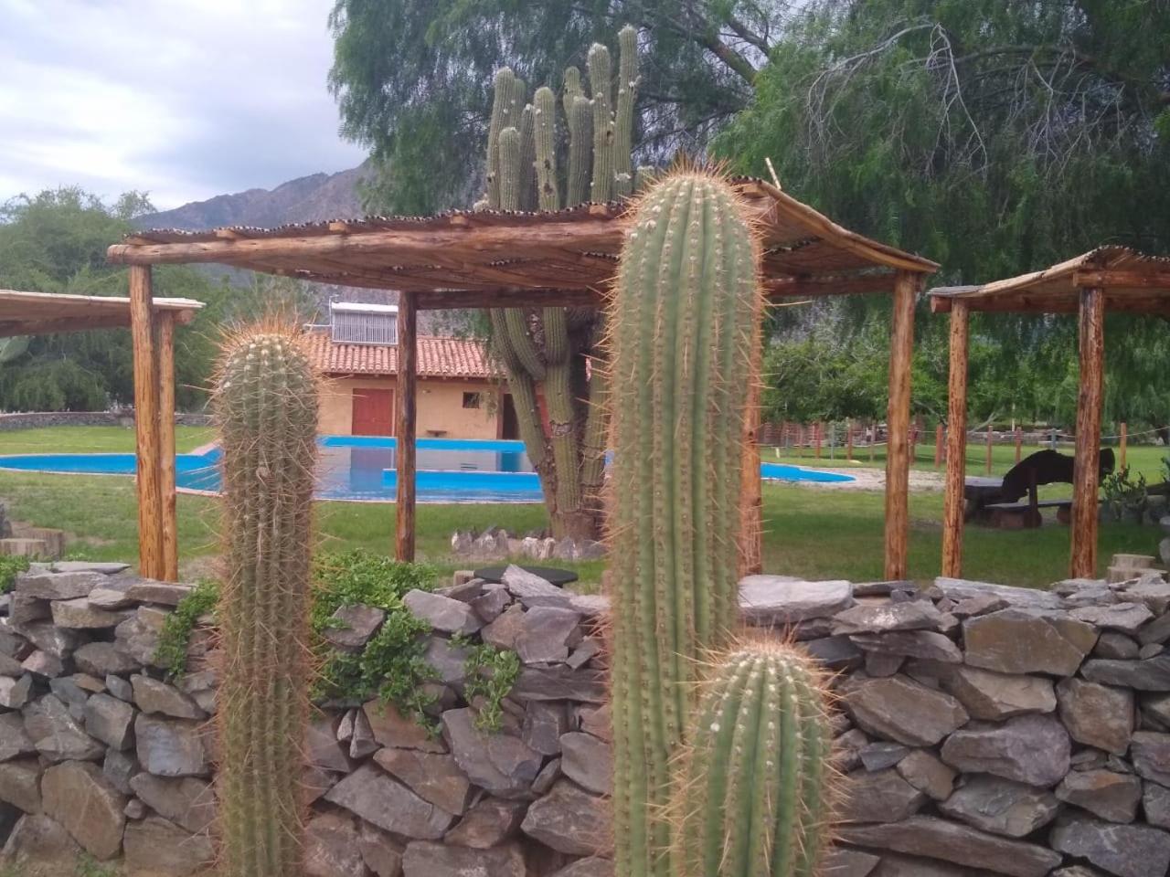 Vindecaf Cafayate Rentals
