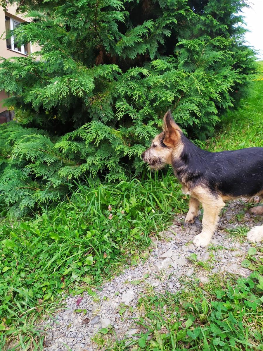 Photo 23