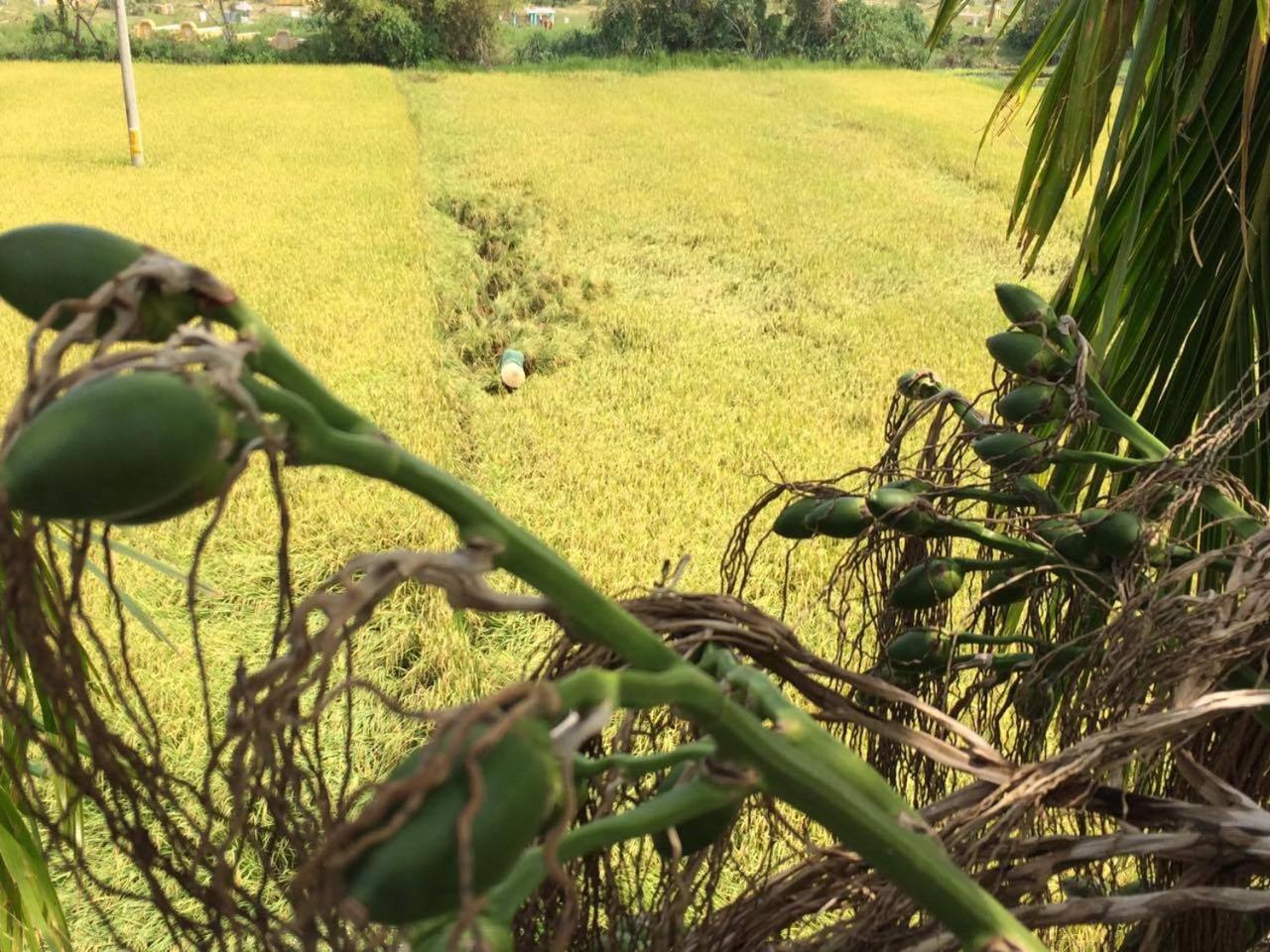 Do River Homestay