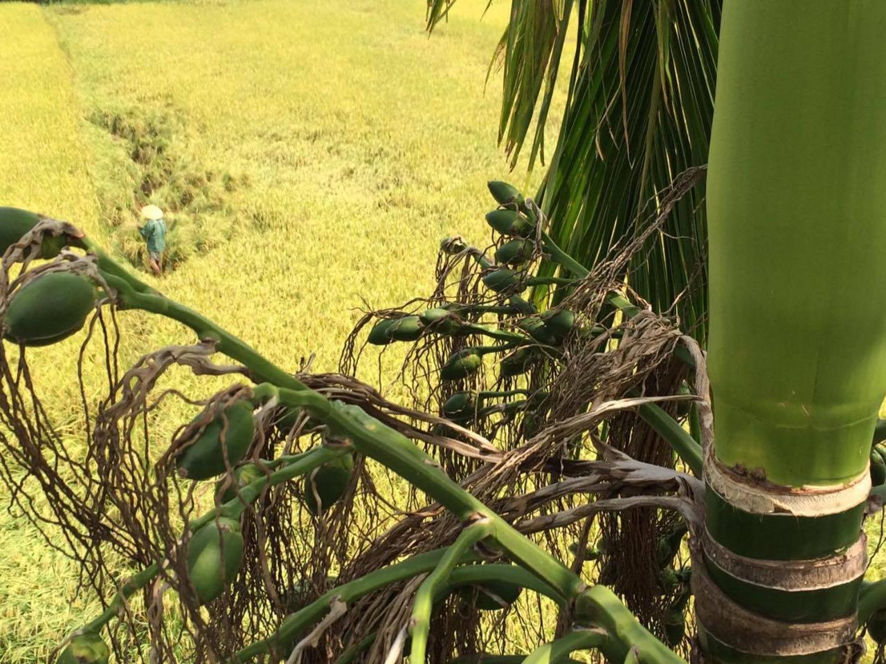 Do River Homestay