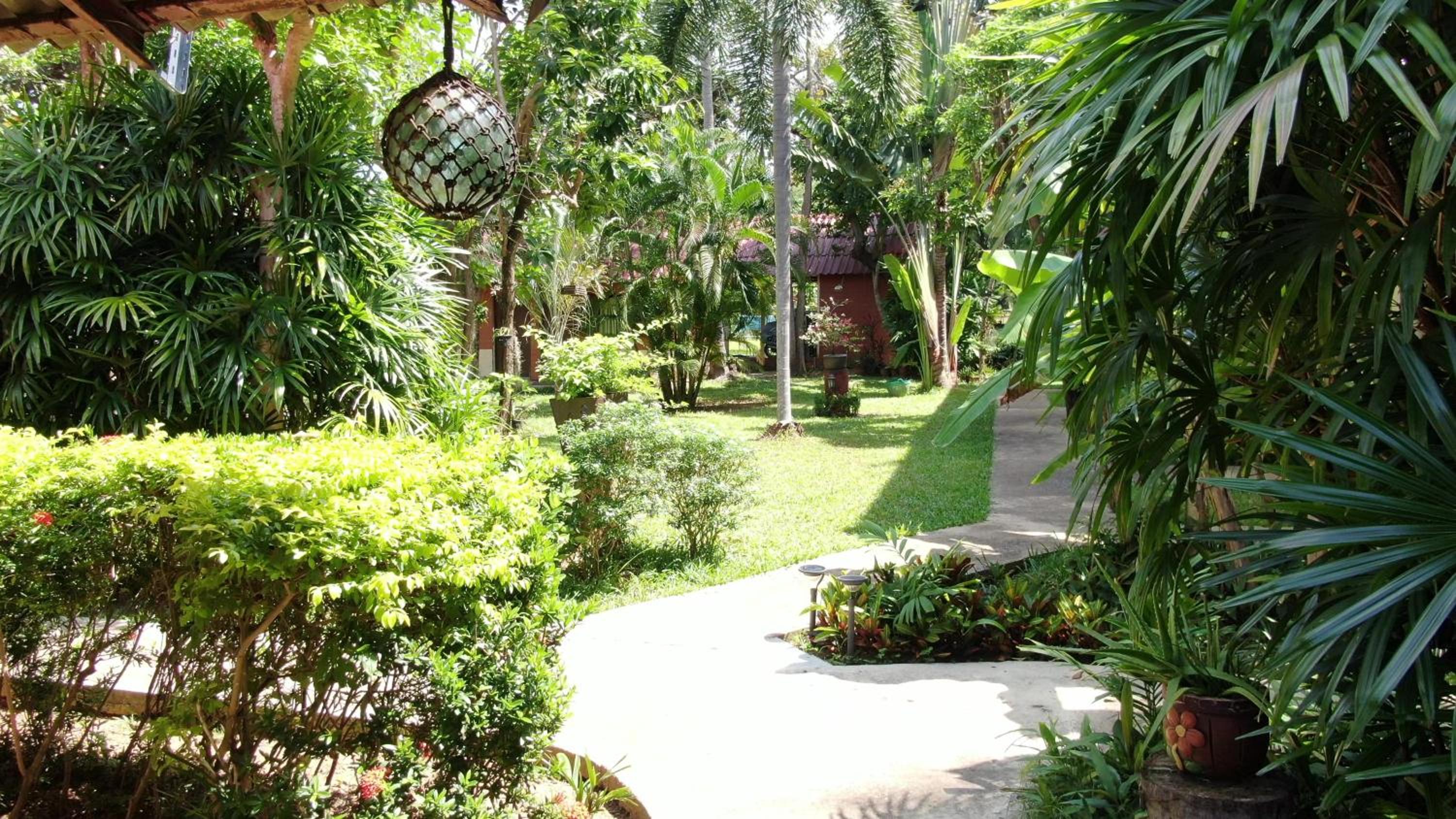 Photo 9
