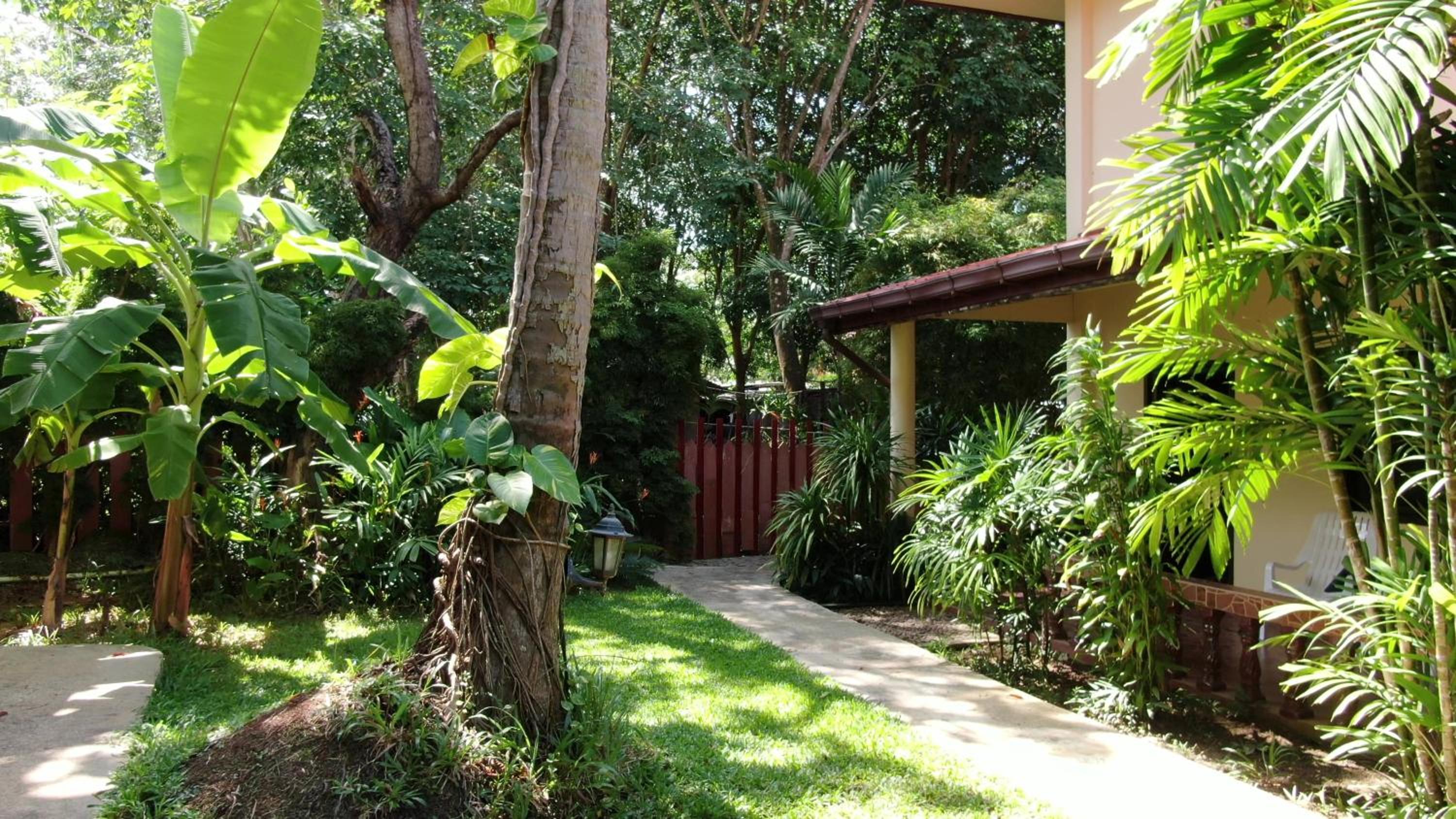 Photo 8