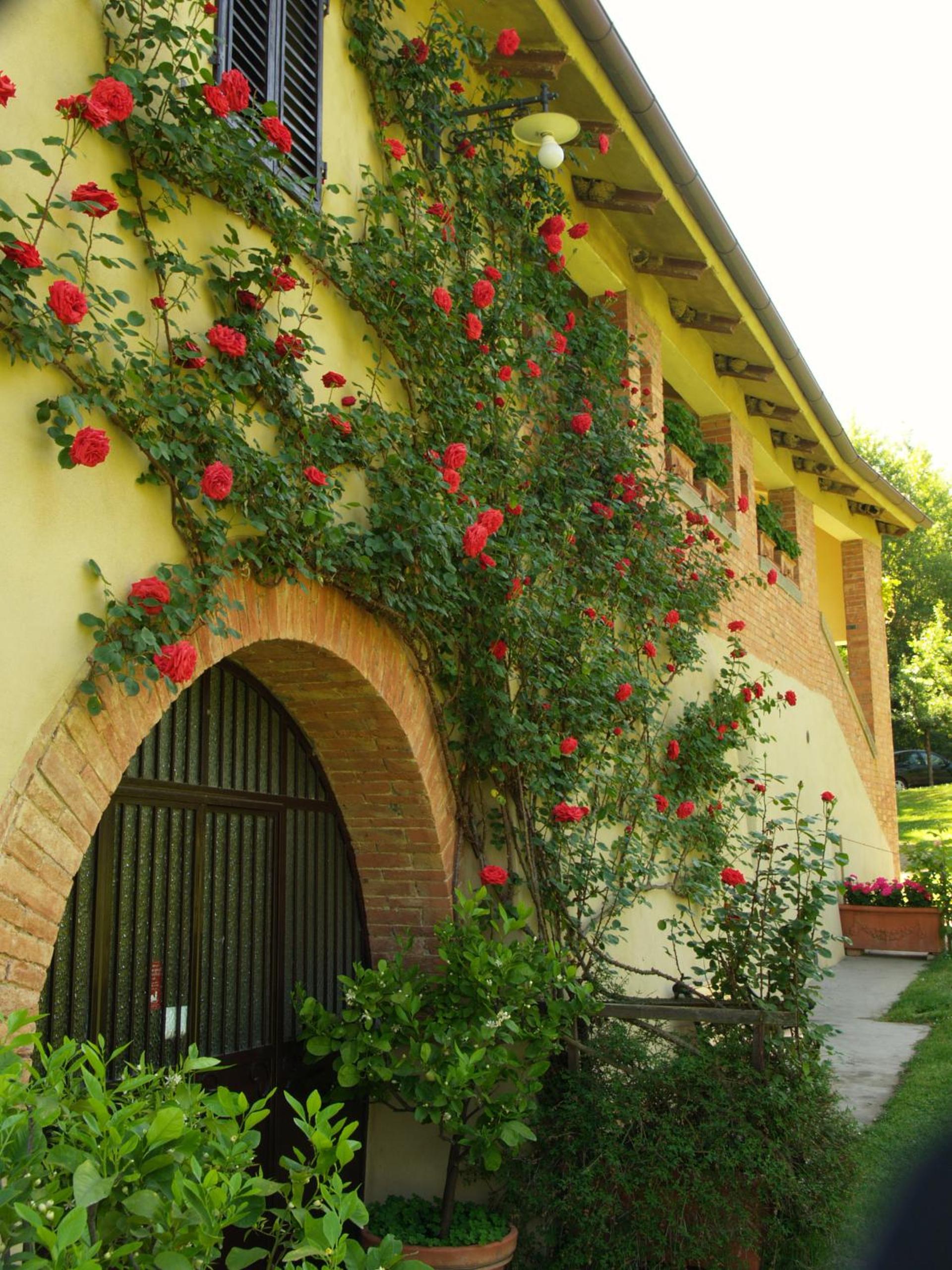 Agriturismo Nobile