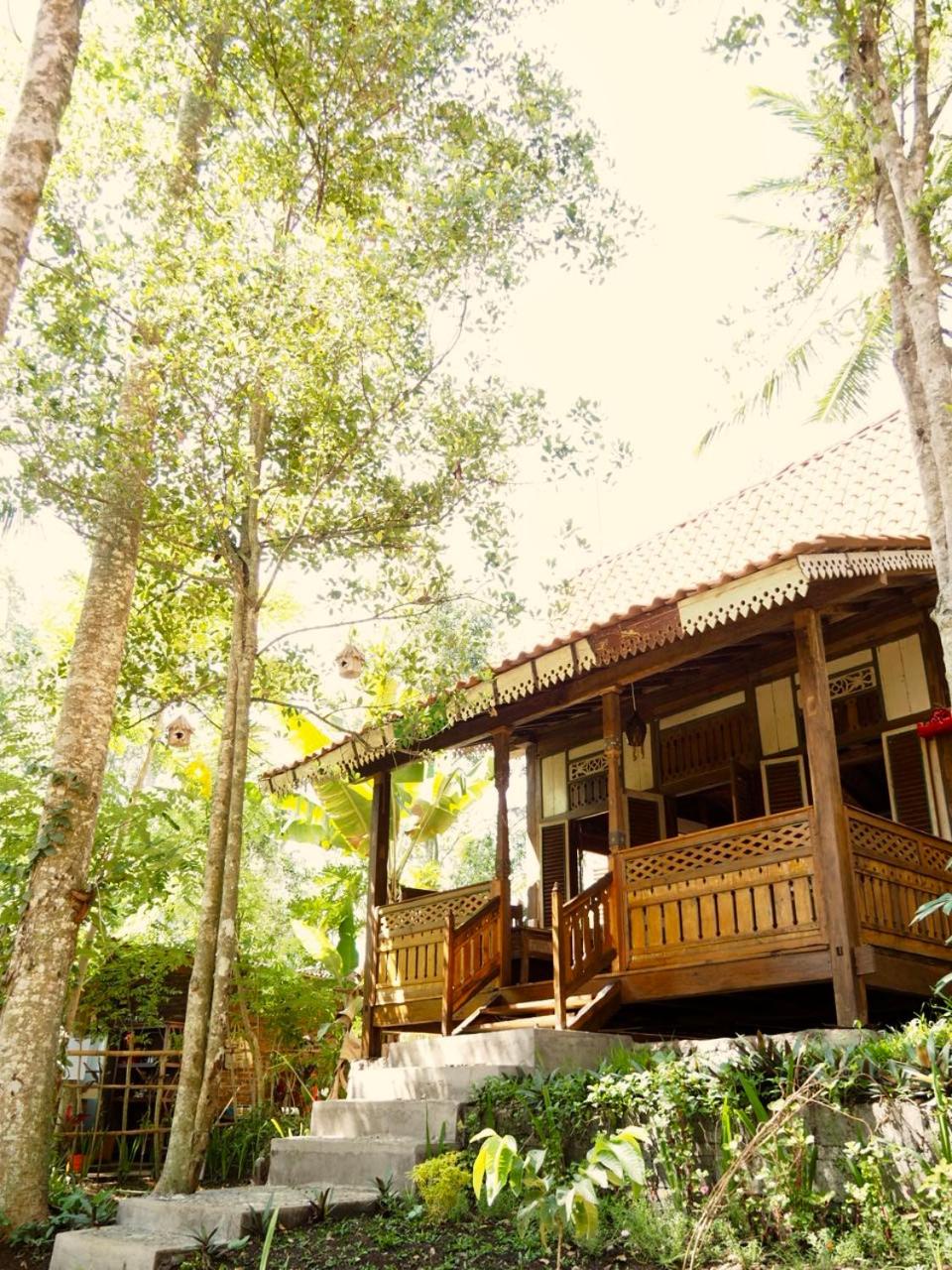Green Vanilla Bungalow view 3