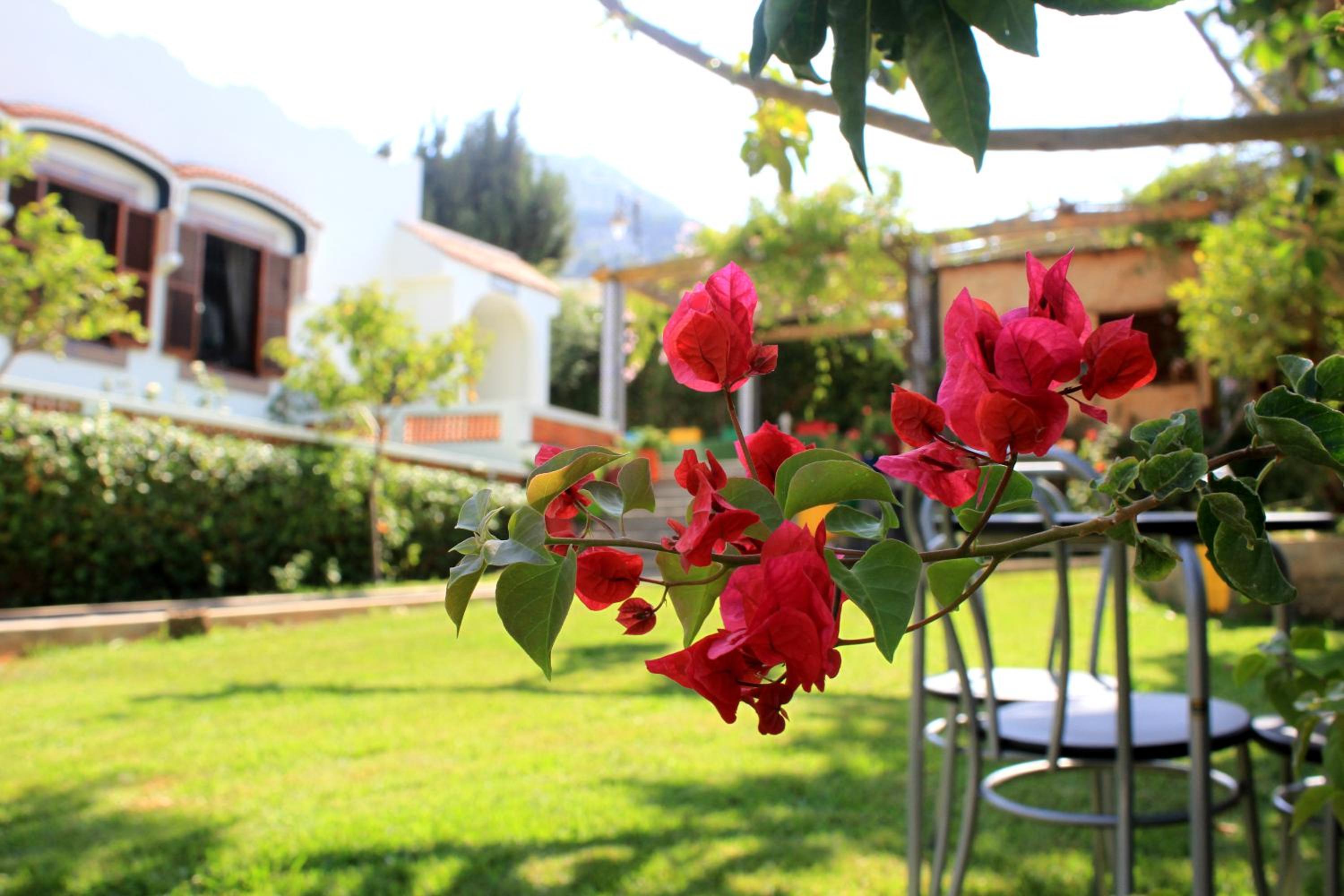 Riad Dar Achaach - Image 2