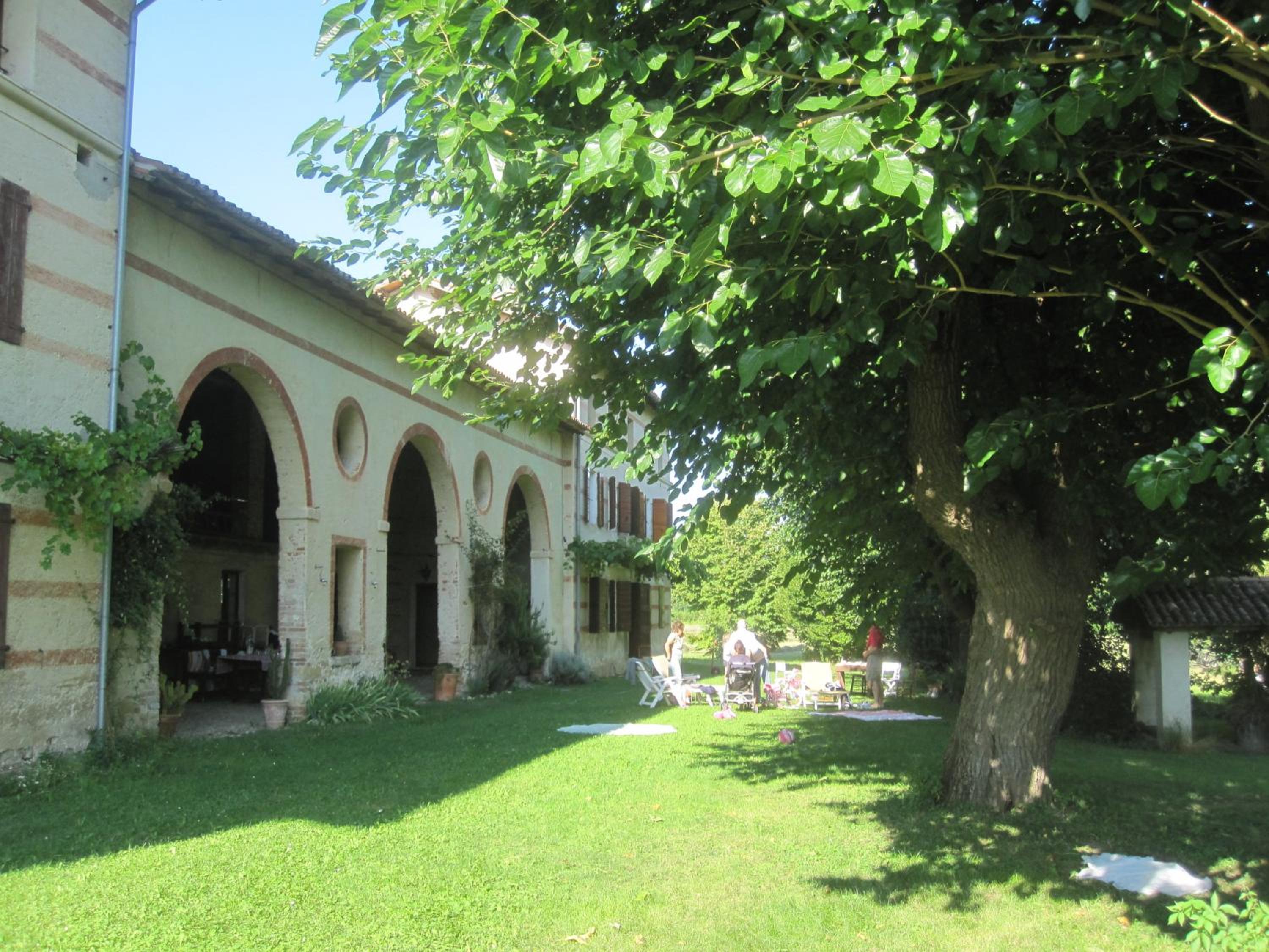 Photo 8