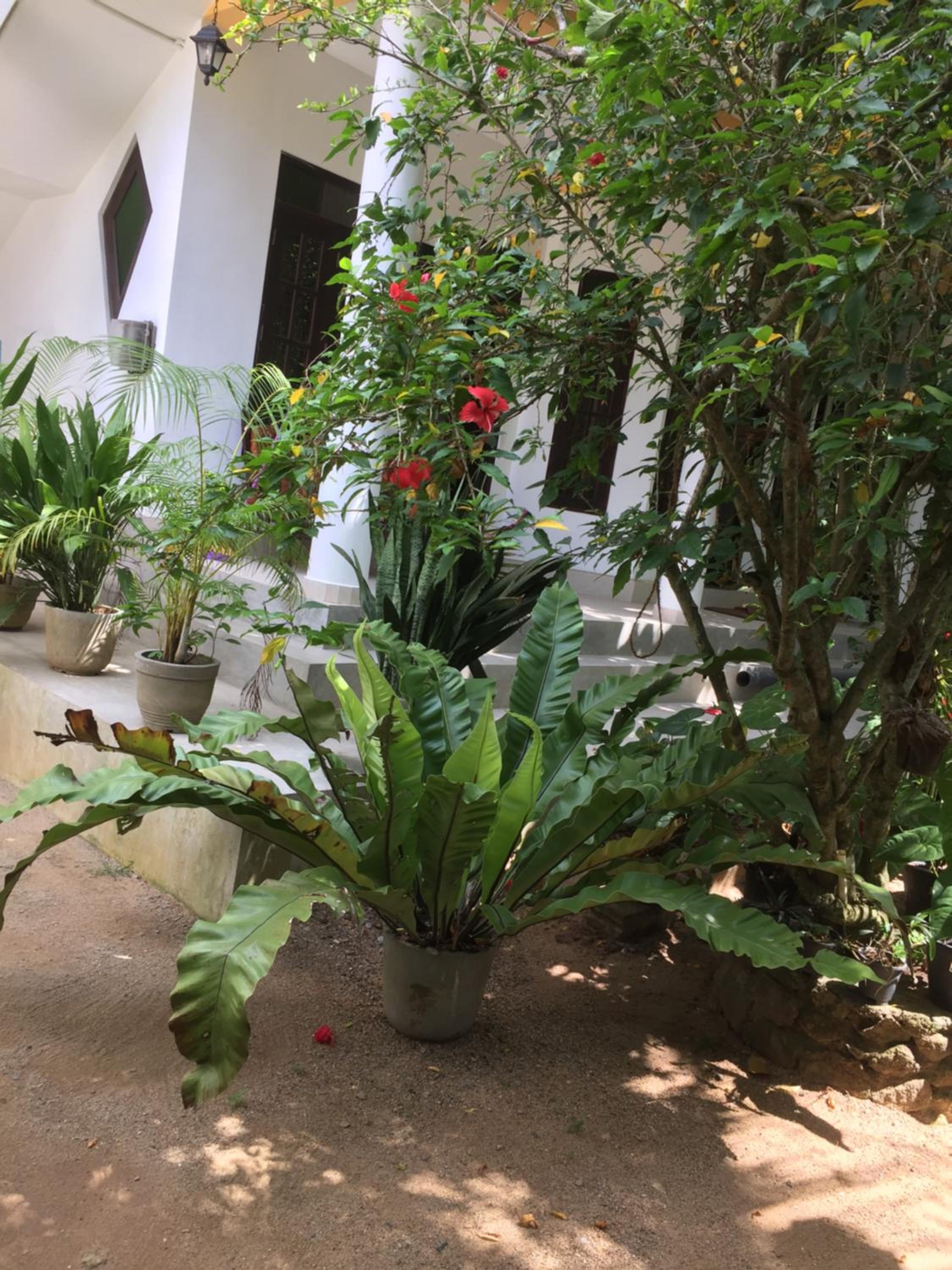 Photo 16