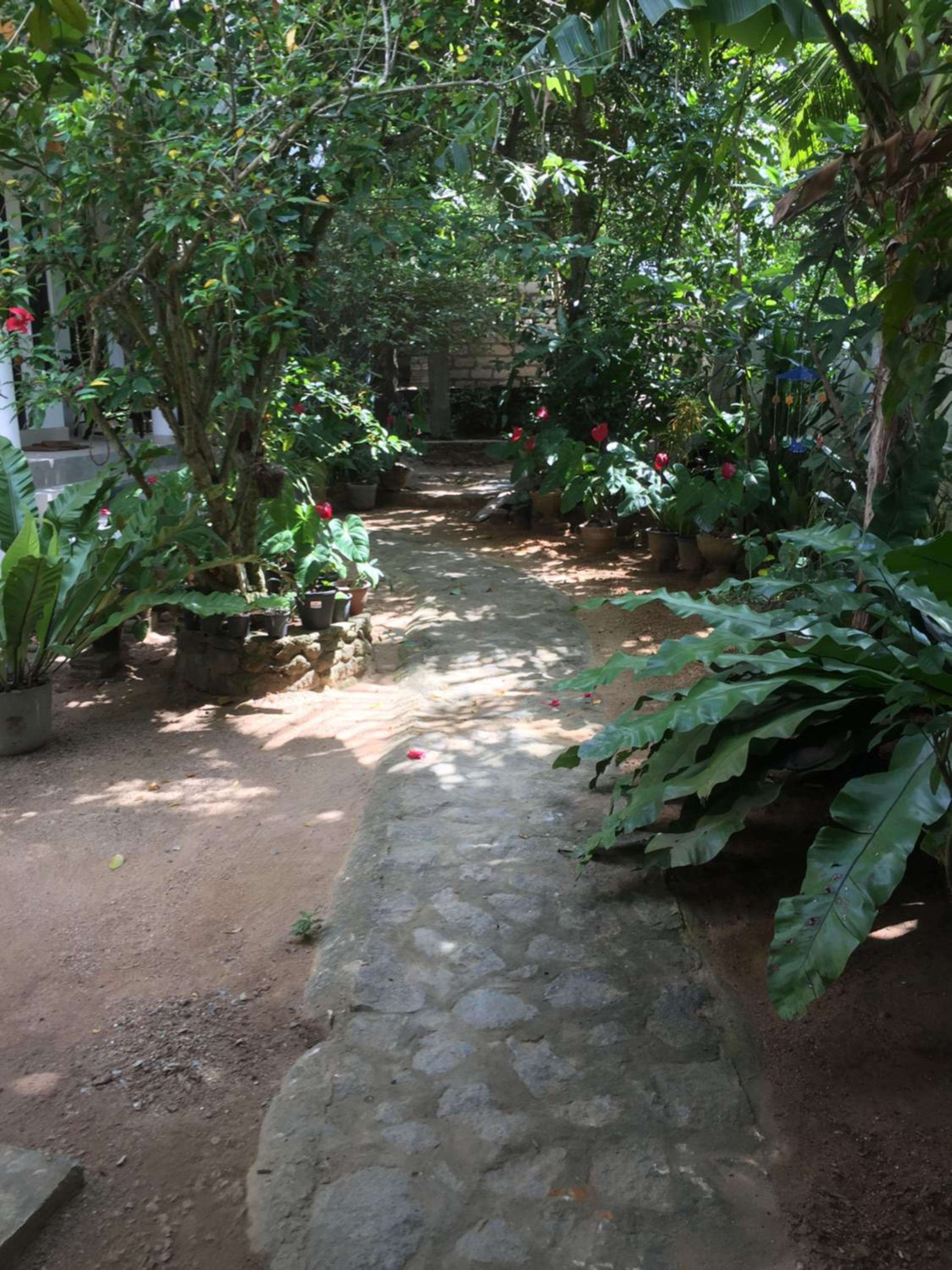 Photo 15