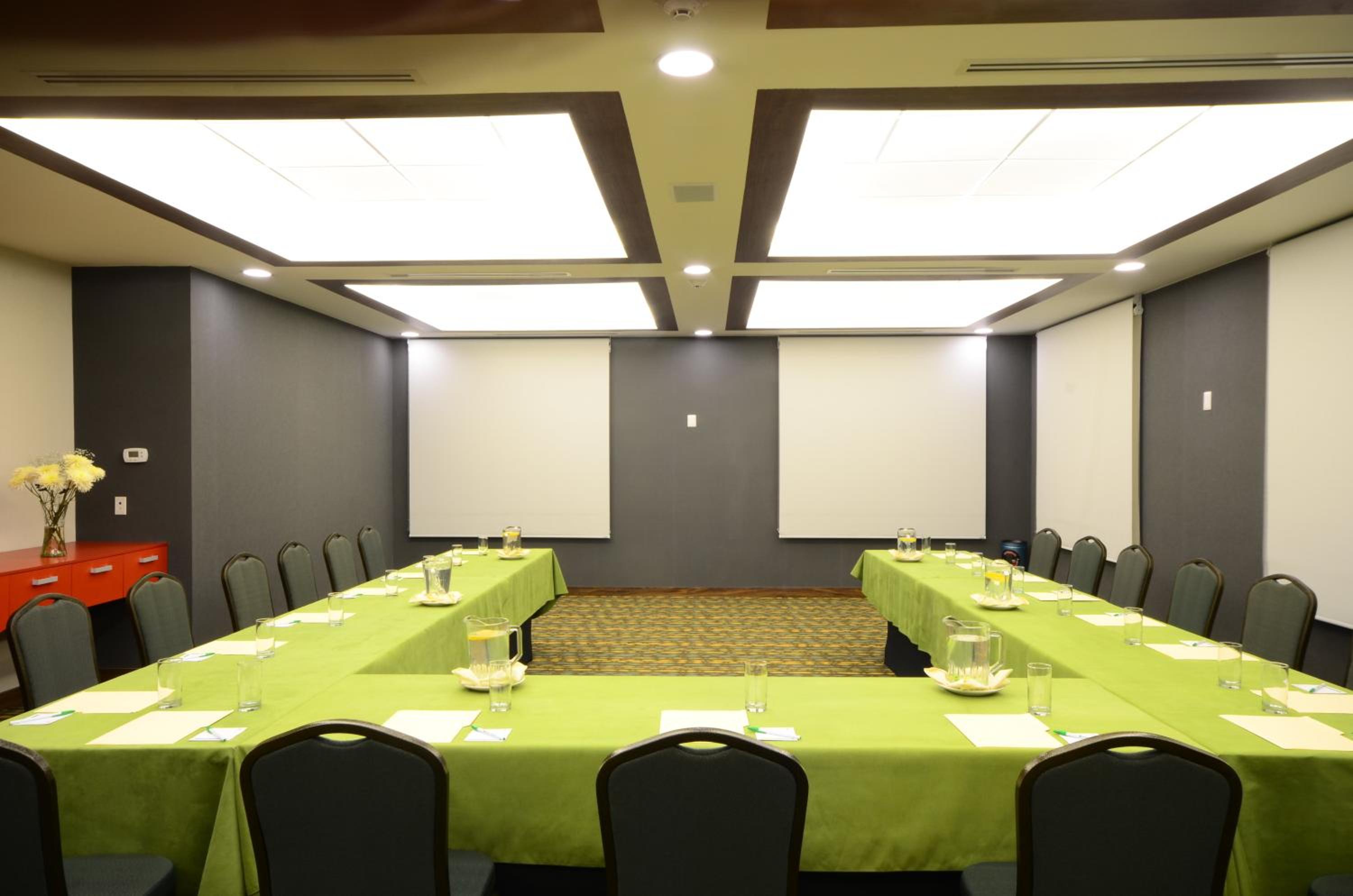 Tampico Vacations - Holiday Inn Tampico-Altamira, an IHG Hotel - Property Image 1