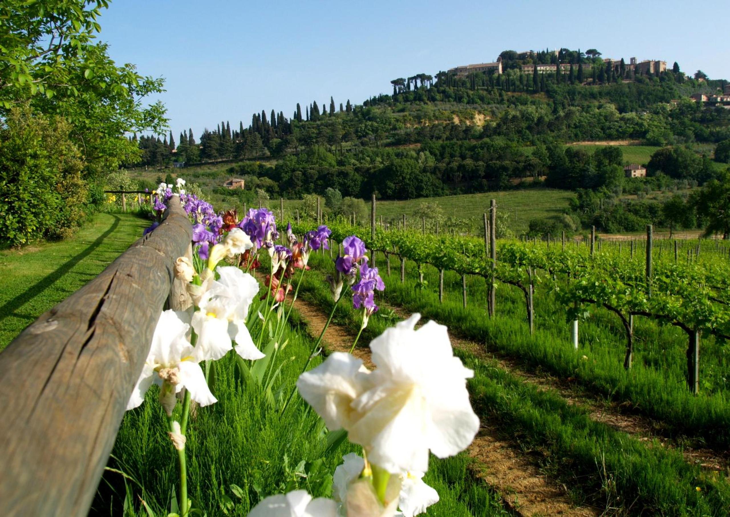 Agriturismo Nobile