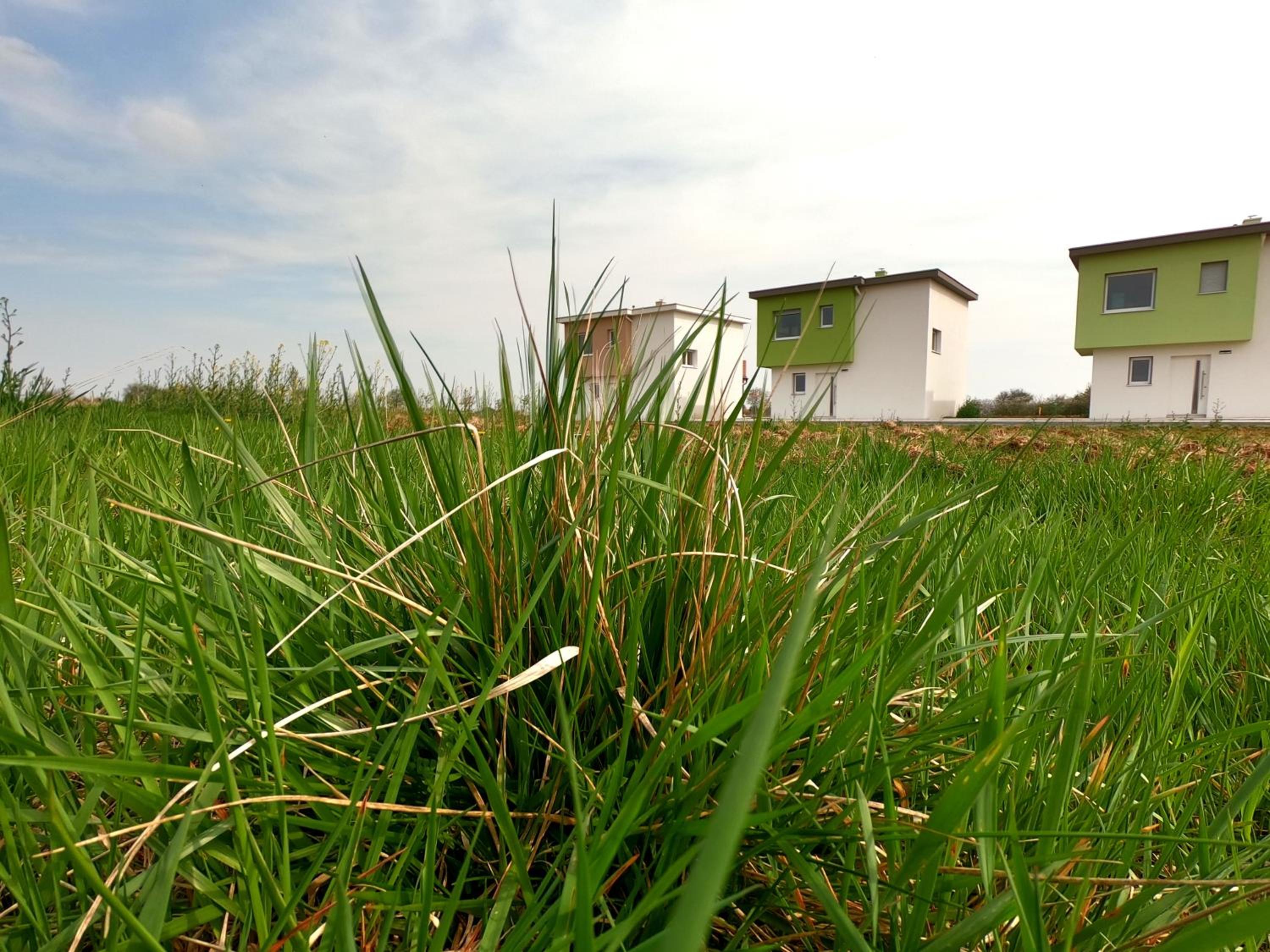 Ferienhaus XL