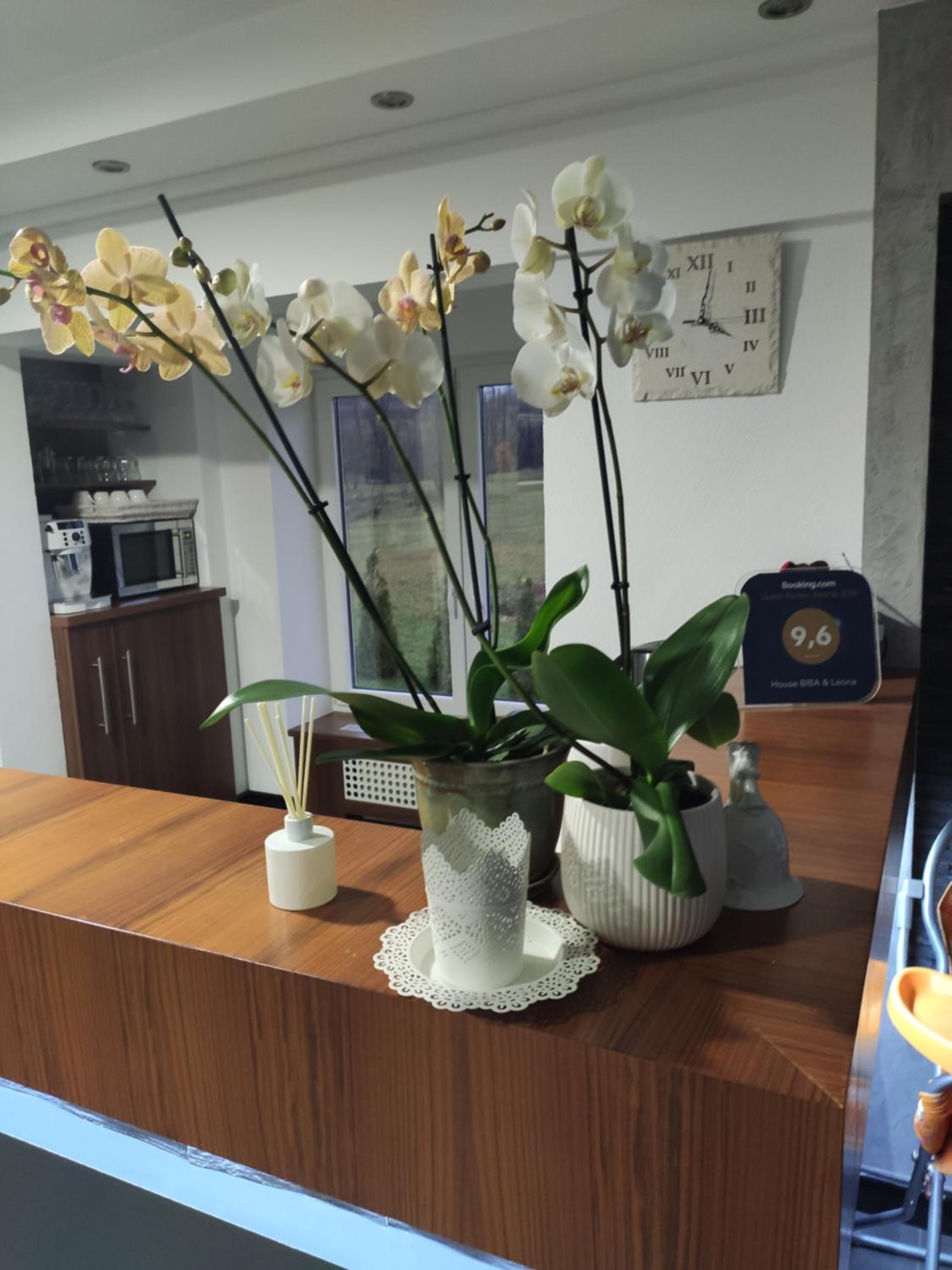 House Biba & Leona view 5