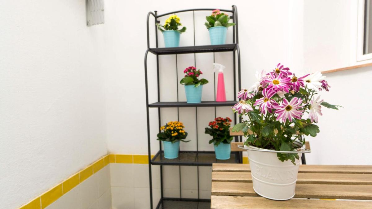 RentalSevilla Confortable apartamento cerca de Plaza Pilatos