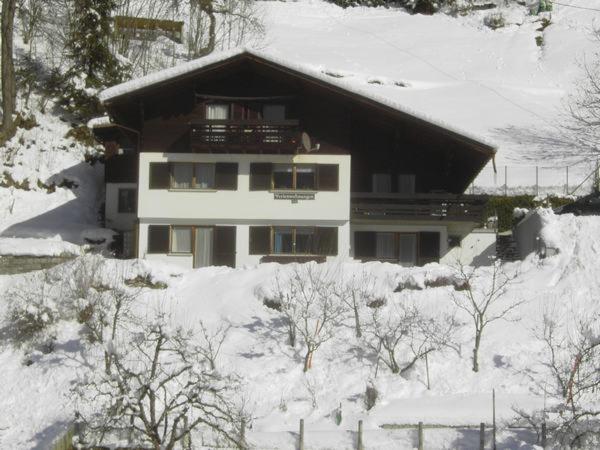 Photo 24