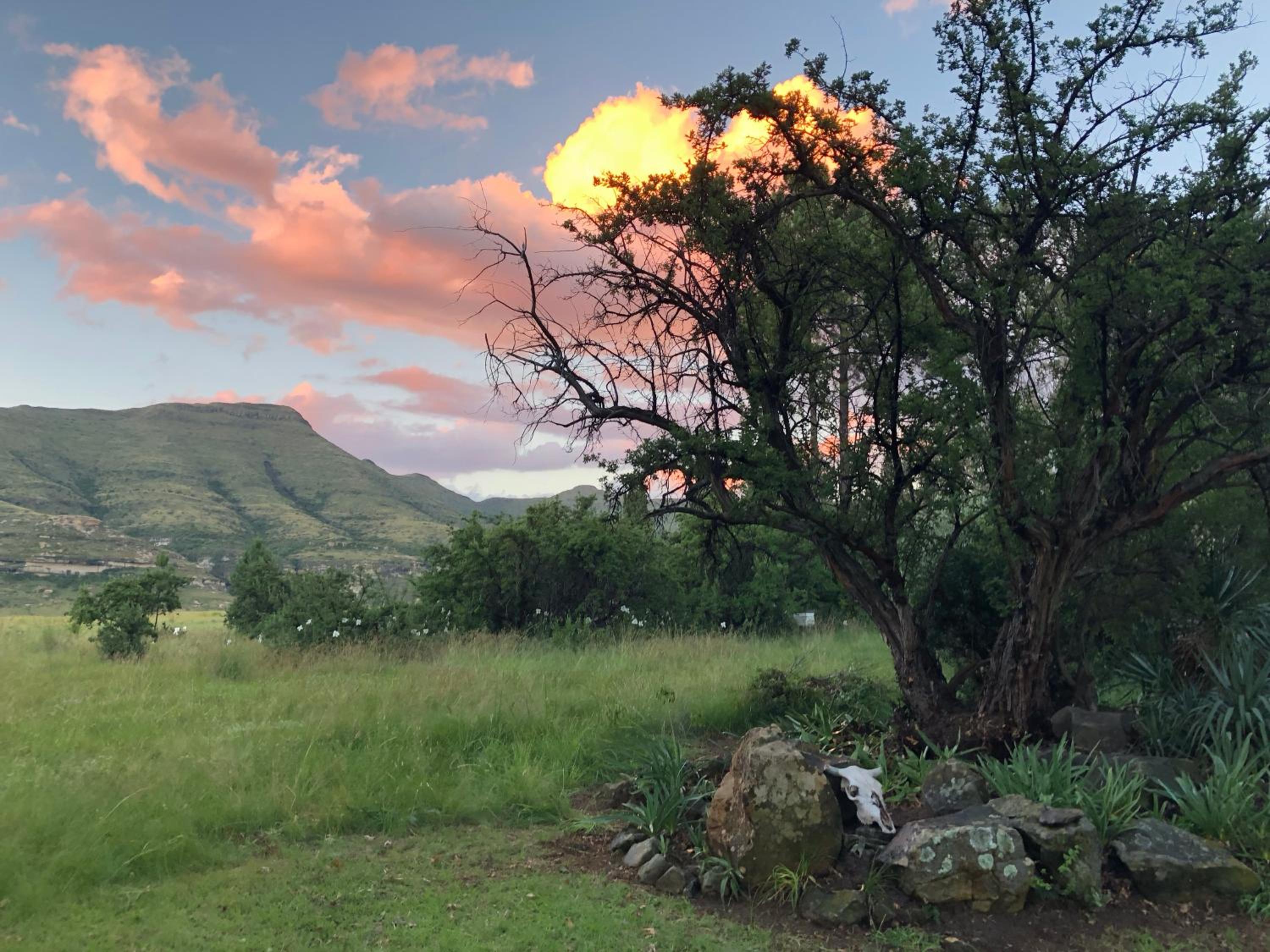 Franshoek Farm