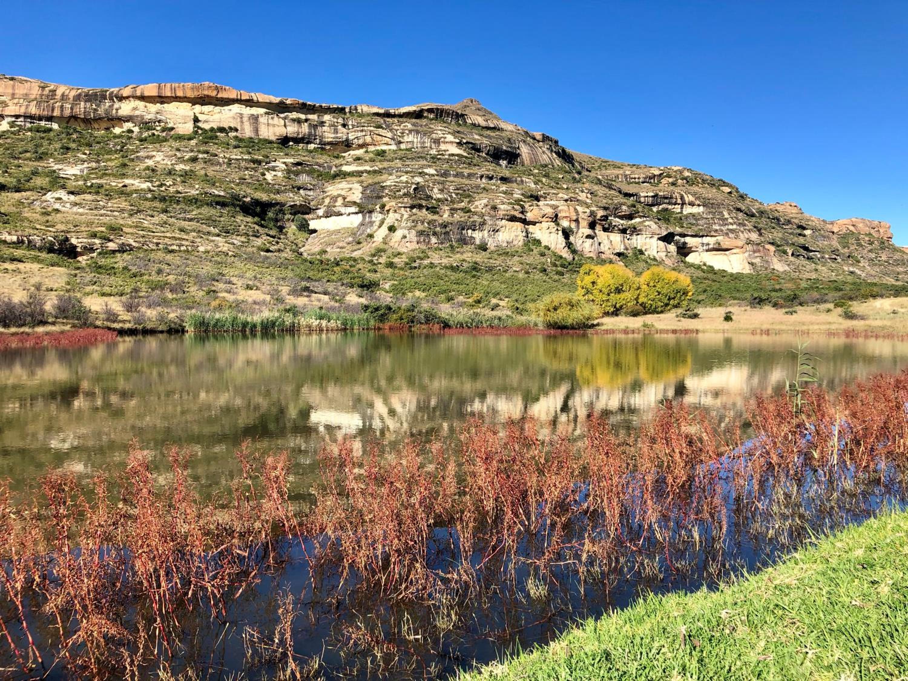 Franshoek Farm