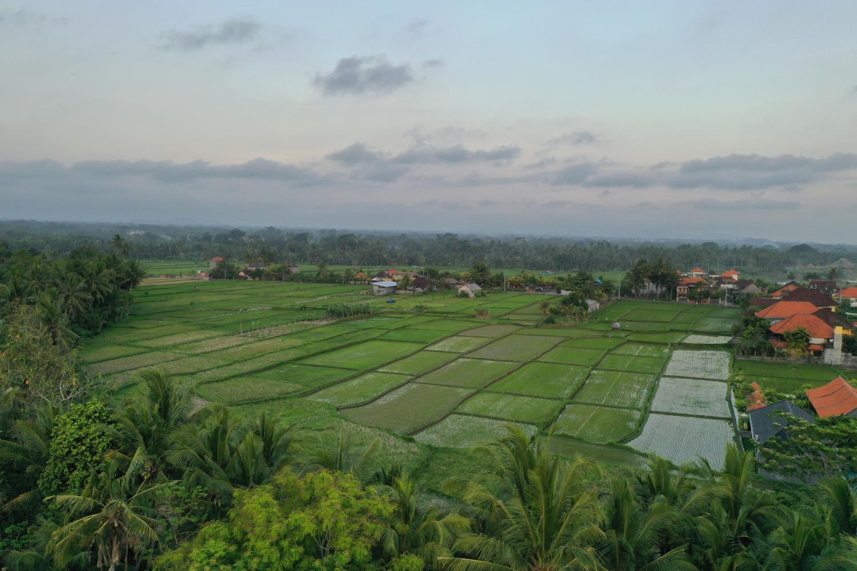 Sila Urip Guest House view 2