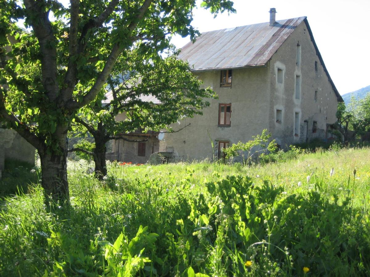 Photo 20