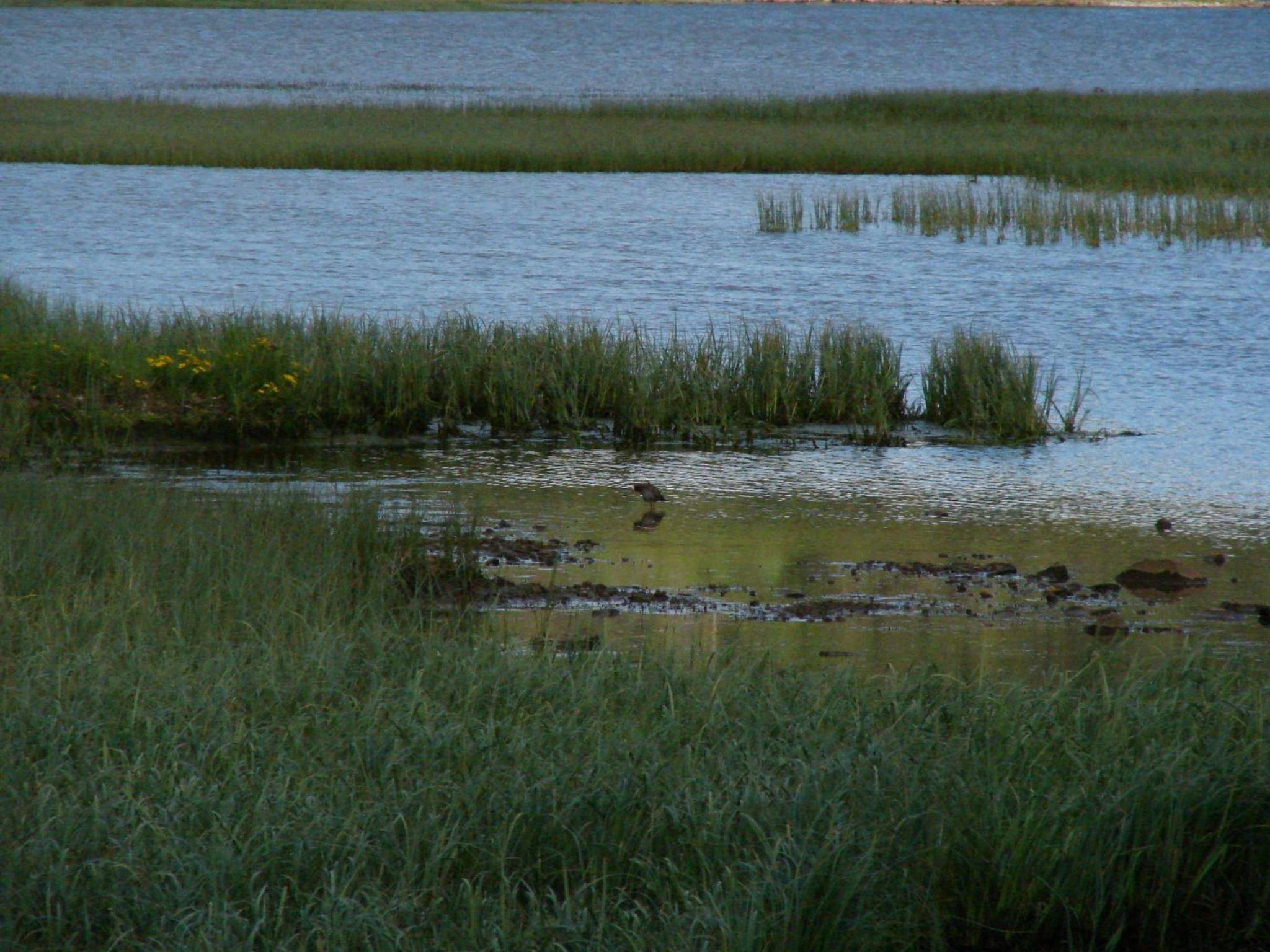 Photo 46