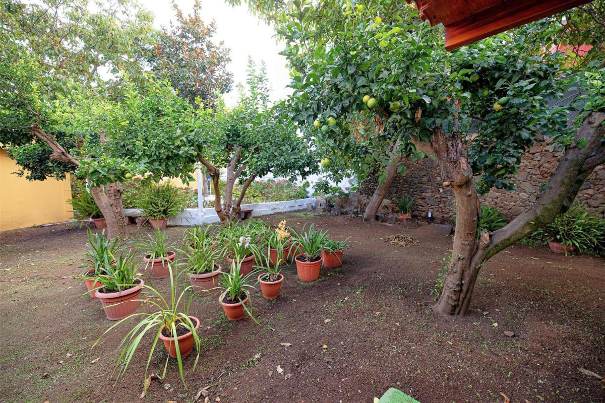 Las Orquideas oldtown house PM60 view 2